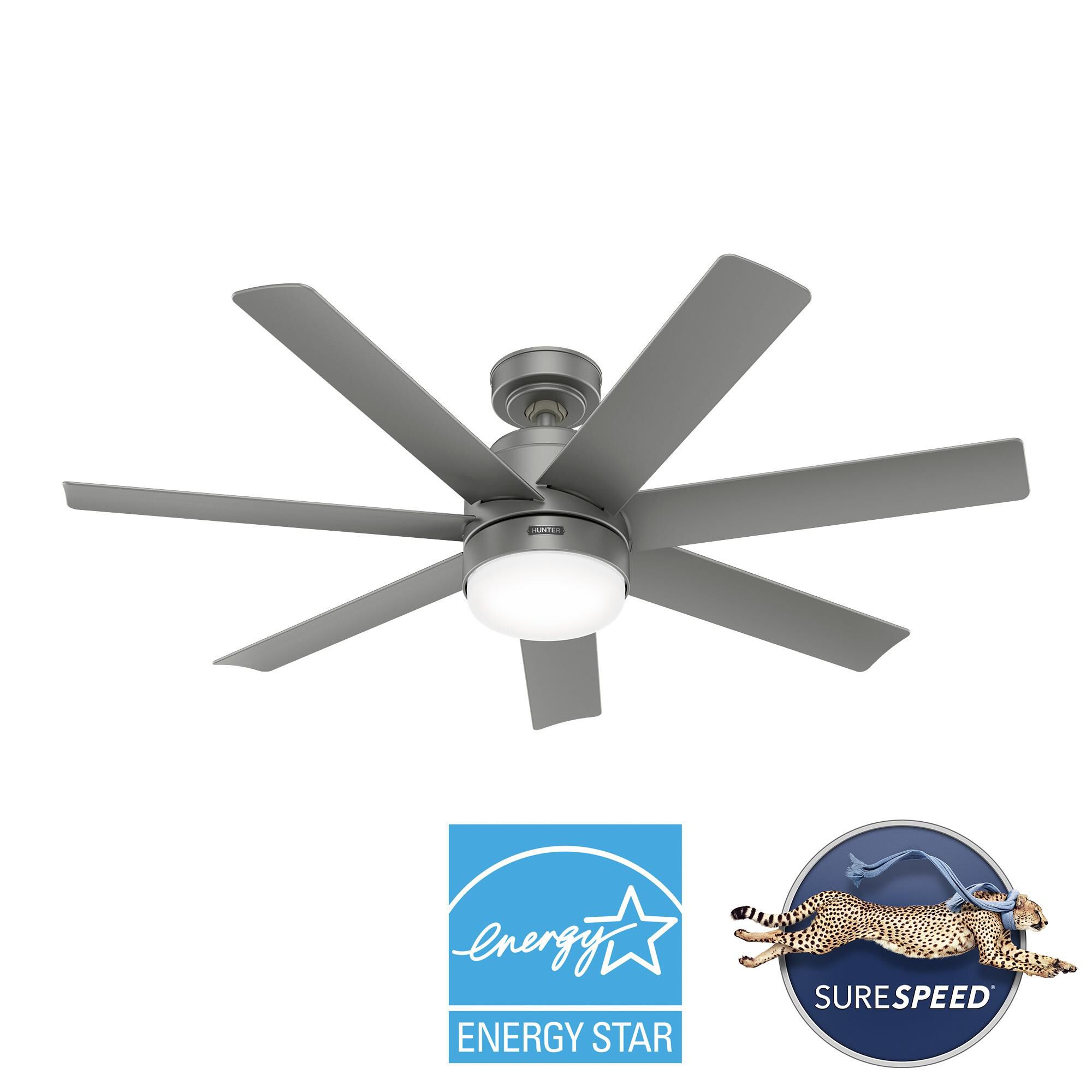 Brazos 52 Inch Ceiling Fan by Hunter Fan