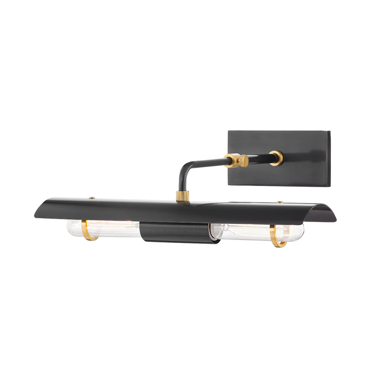 Raelynn 14 Inch Picture Light by Mitzi