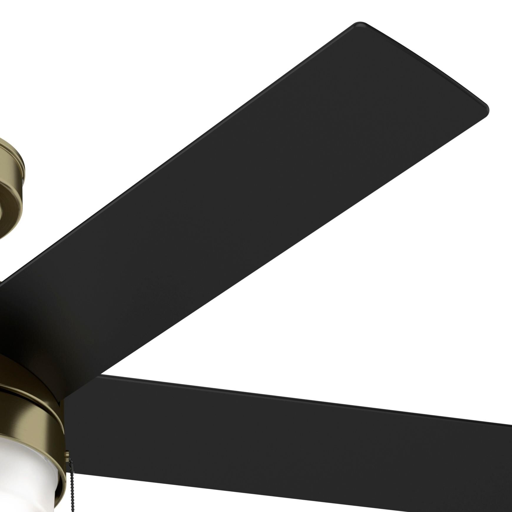 Claudette 52 Inch Ceiling Fan with Light Kit by Hunter Fan