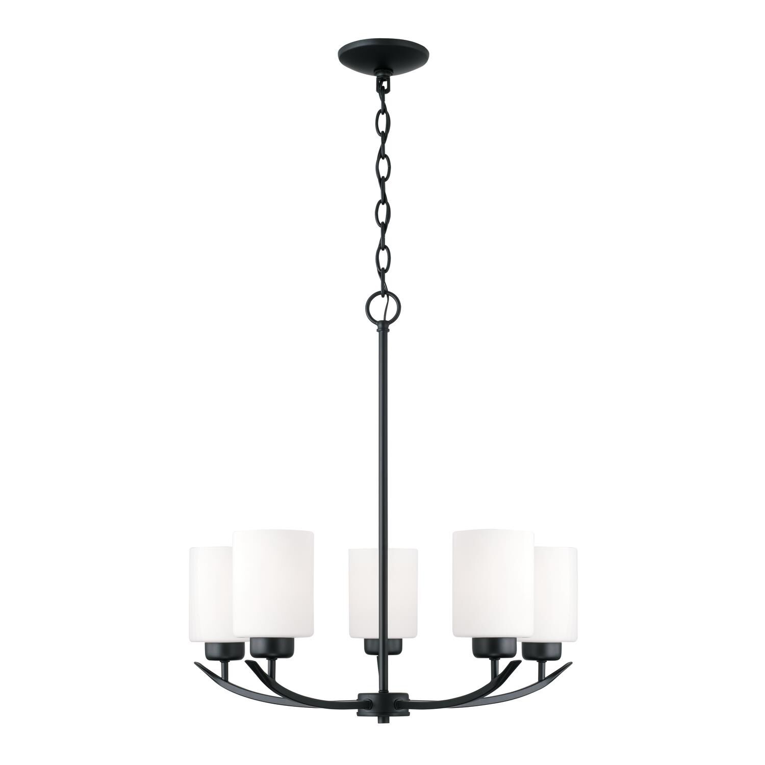 Dixon Chandelier by Homeplace by Capital Lighting Fixture Company