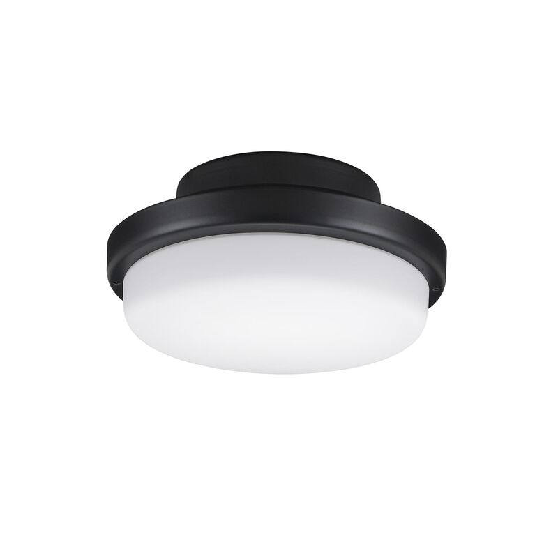 Triaire 7 Inch Fan Light Kit by Fanimation