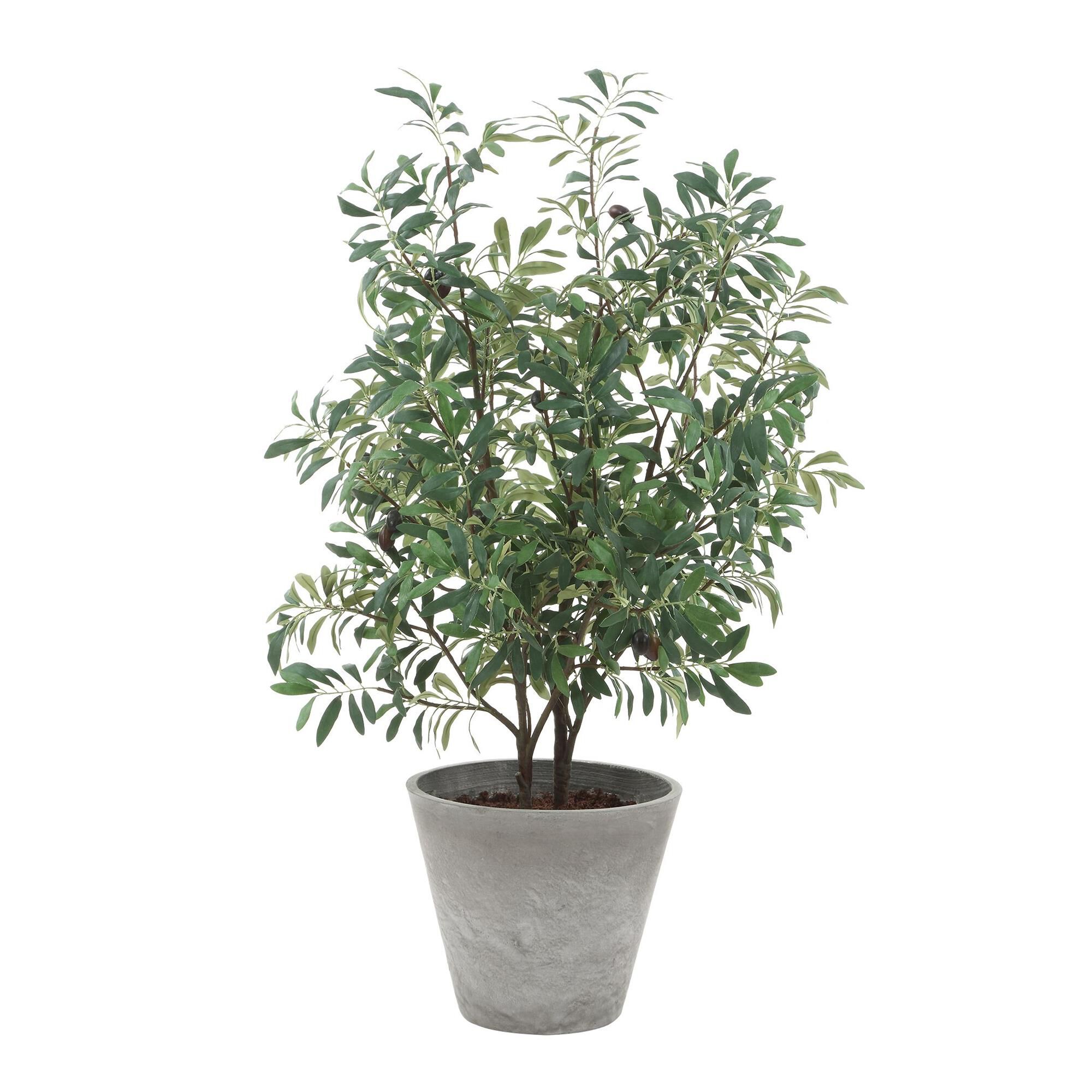 Shown in Gray, Green finish