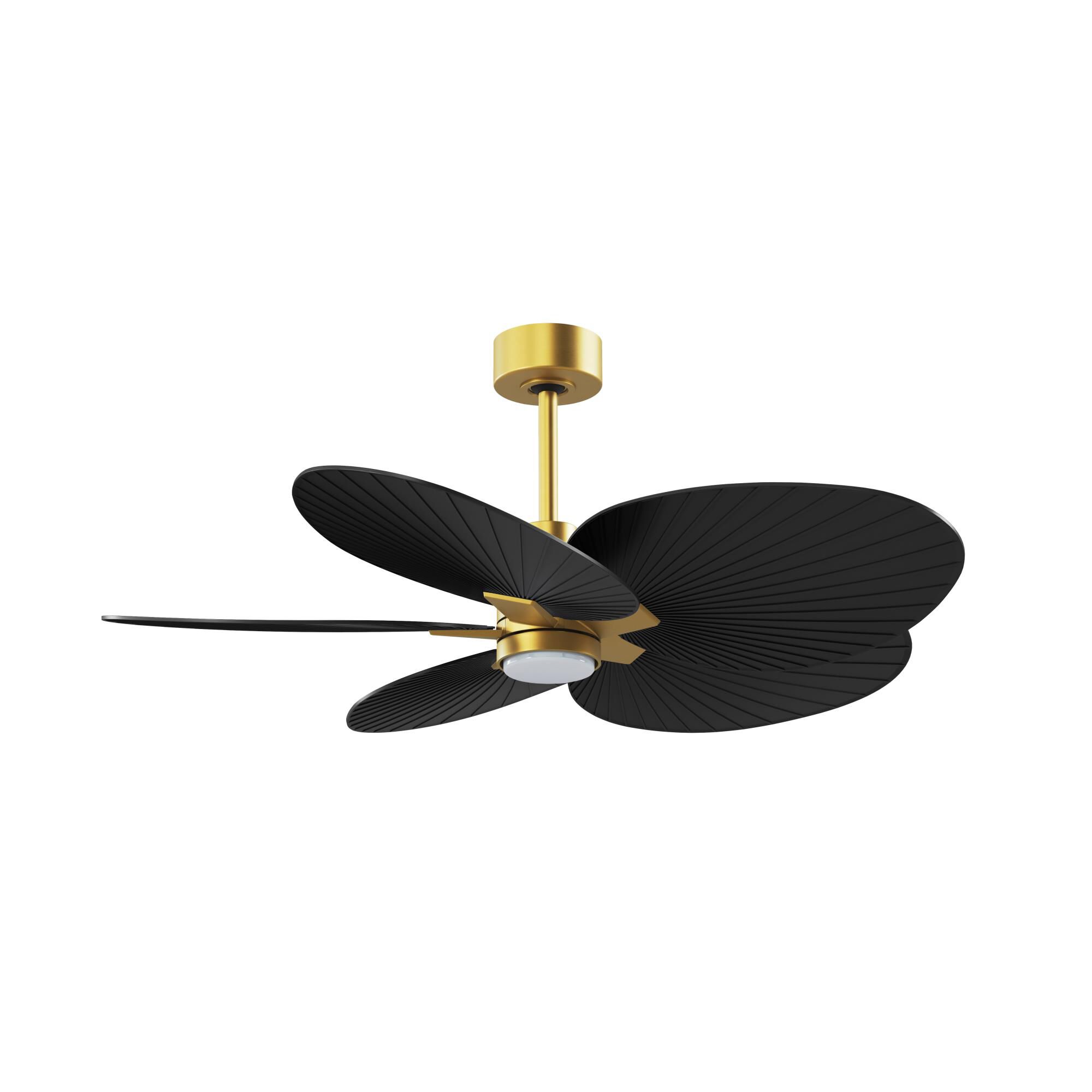 Alessandra Tropical Outdoor Rated 48 Inch Ceiling Fan with Light Kit by Matthews Fan Company