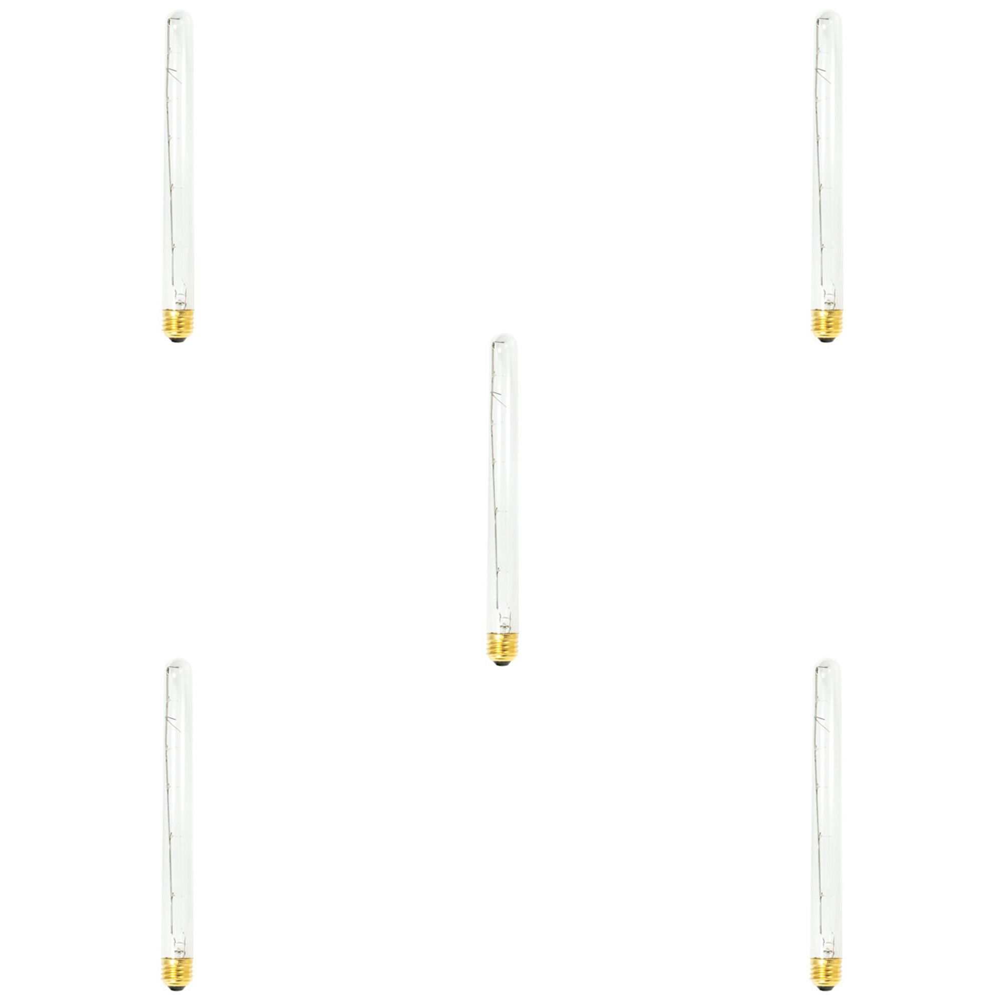 40 Watt 2700K T8 Incandescent Light Bulb,