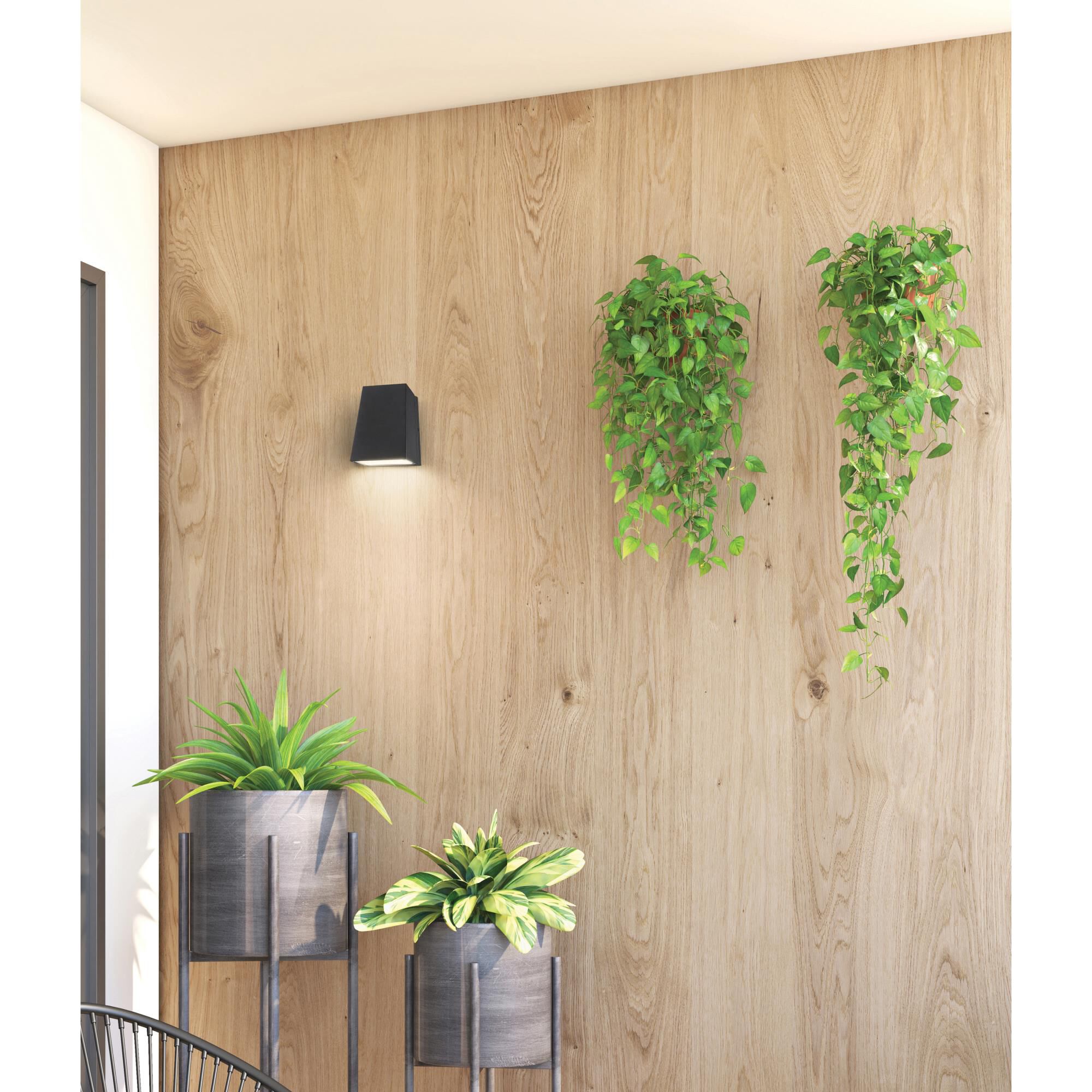 Edge 7 Inch Tall 1 Light LED Outdoor Wall Light by Access Lighting