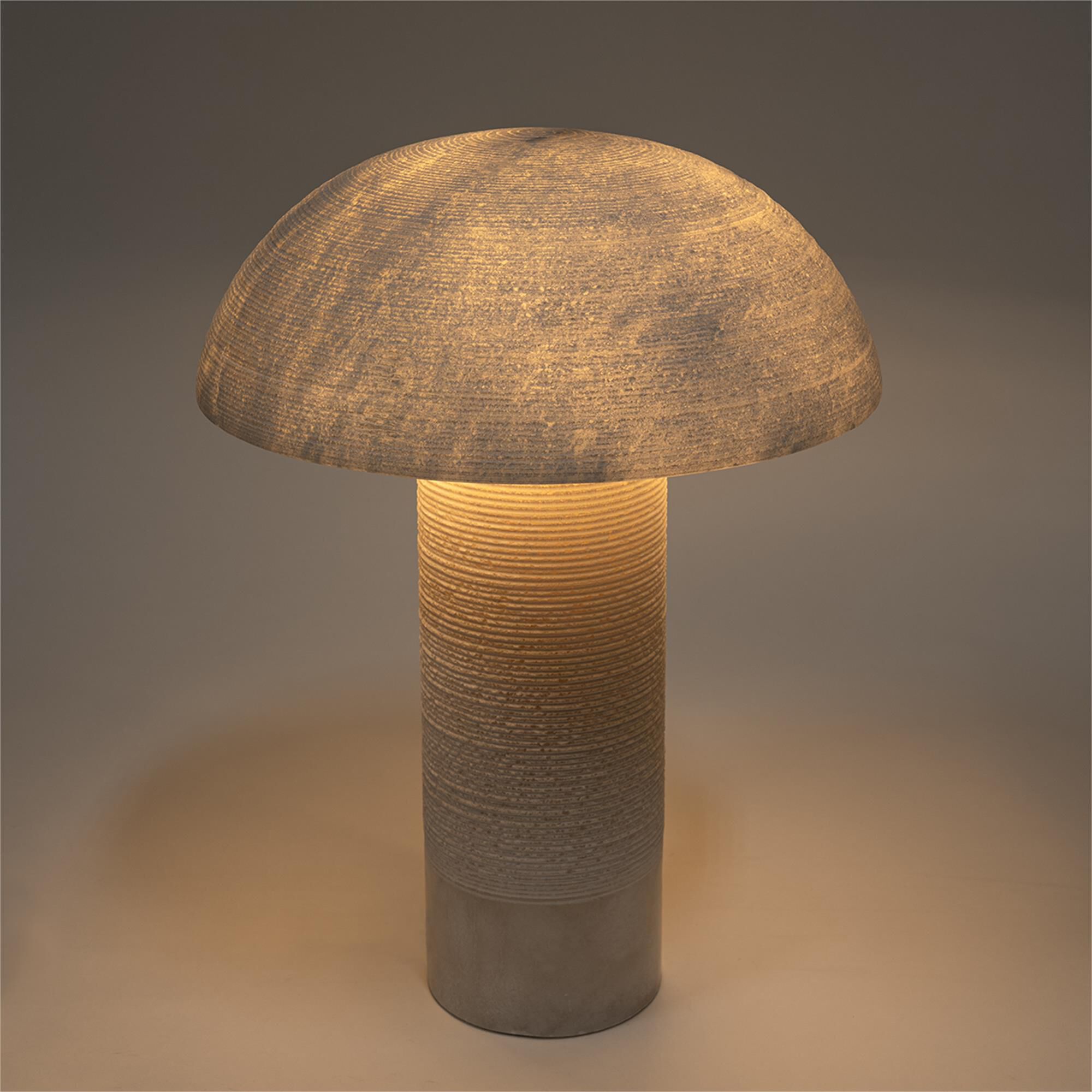 Zana 18 Inch Table Lamp by Palecek