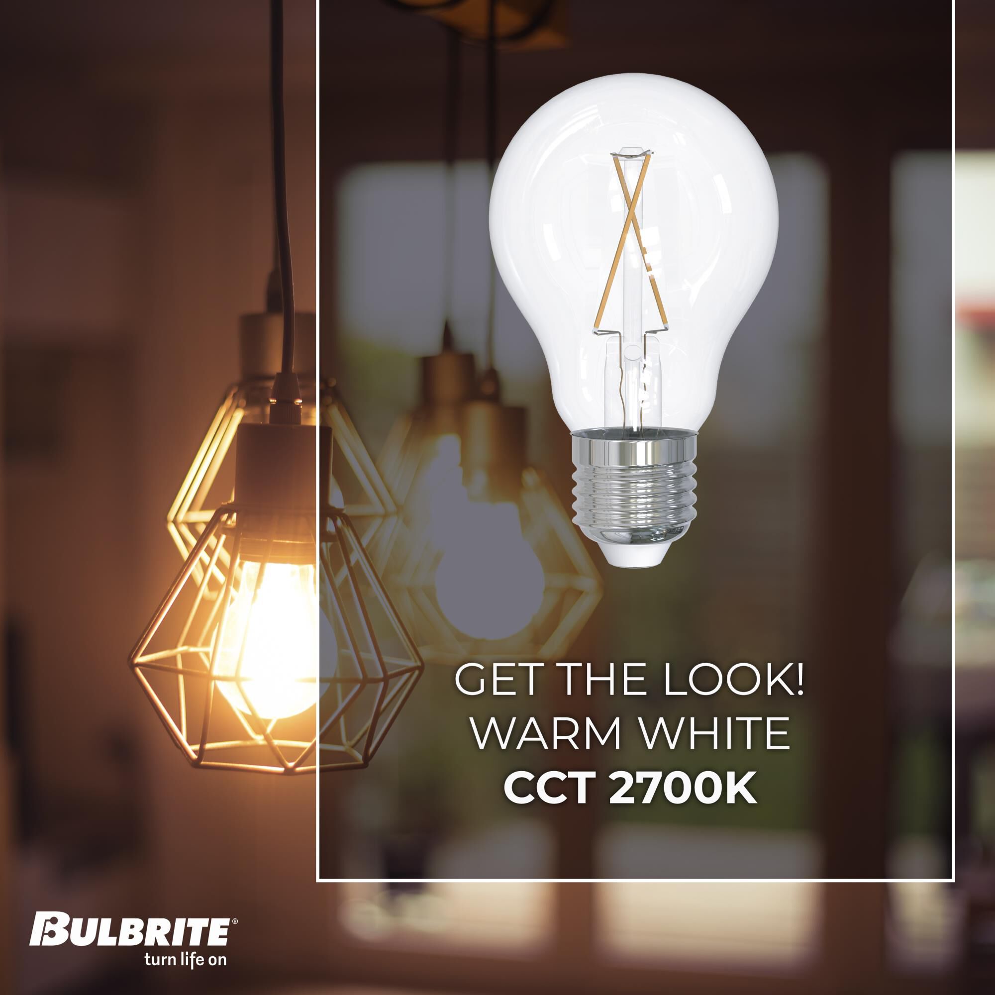 Dimmable 2.50 Watt 2700K A19 LED Light Bulb by Bulbrite