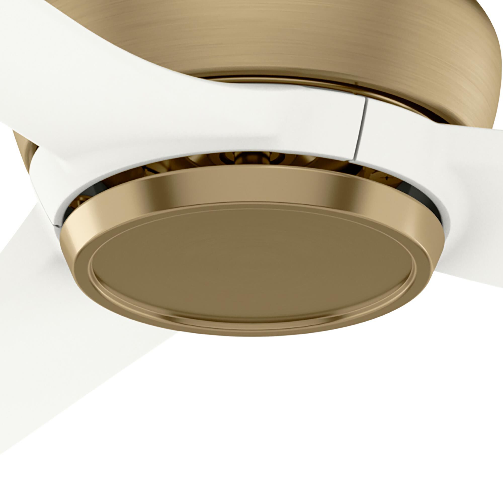 Eyla 52 Inch Ceiling Fan by Casablanca Fan Company