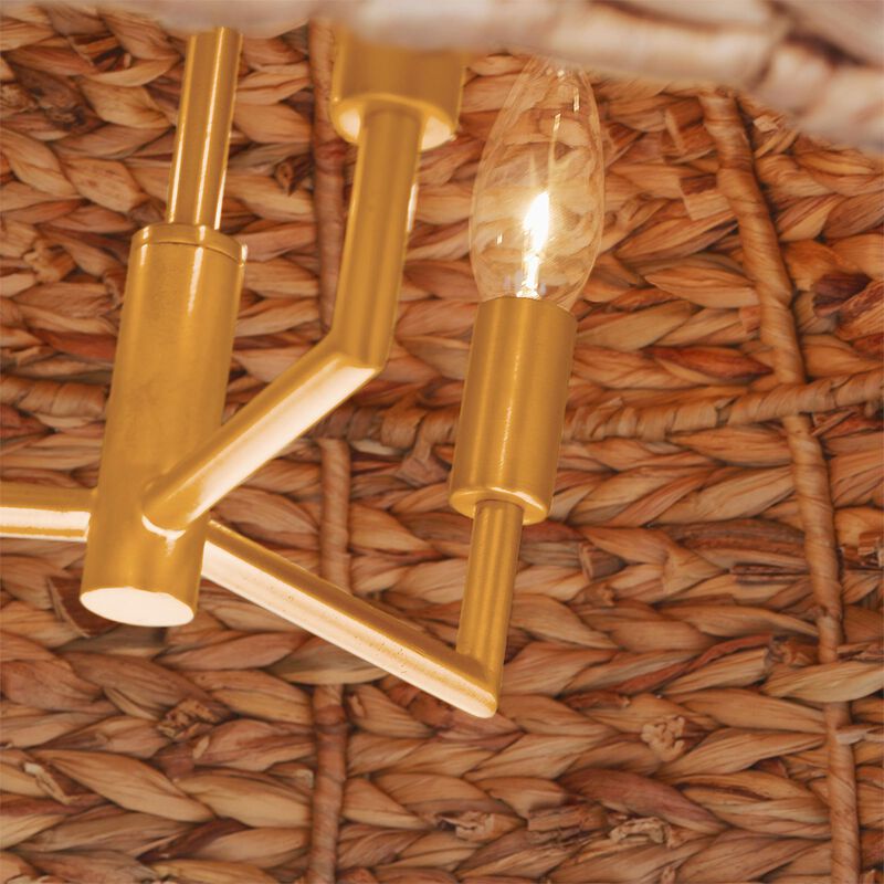 Ellen DeGeneres Cay Large Pendant Light by Visual Comfort Studio
