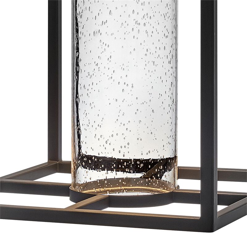 Coen Small Outdoor Hanging Lantern by Hinkley