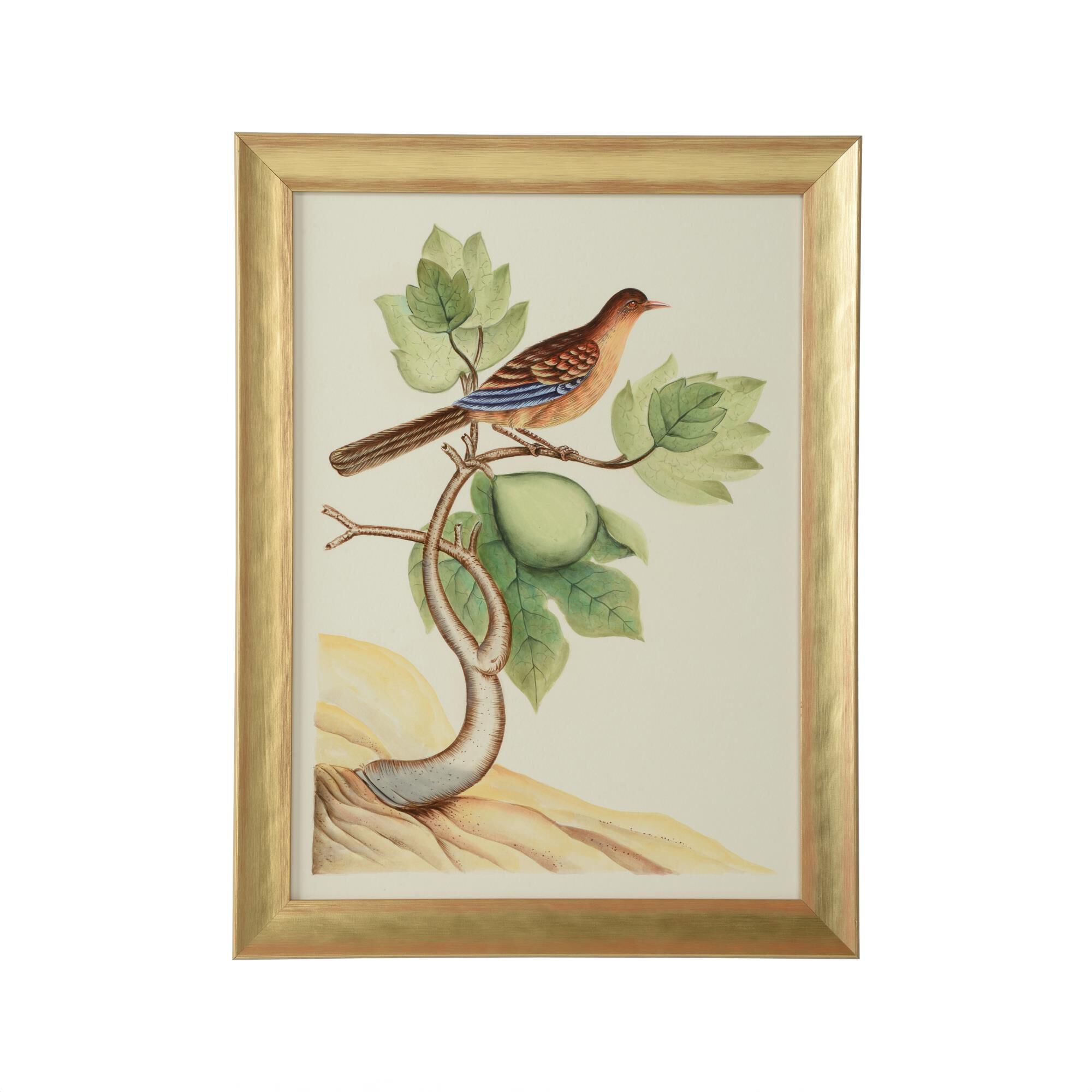 Bill Cain Watercolor Birds A Painting by Chelsea House