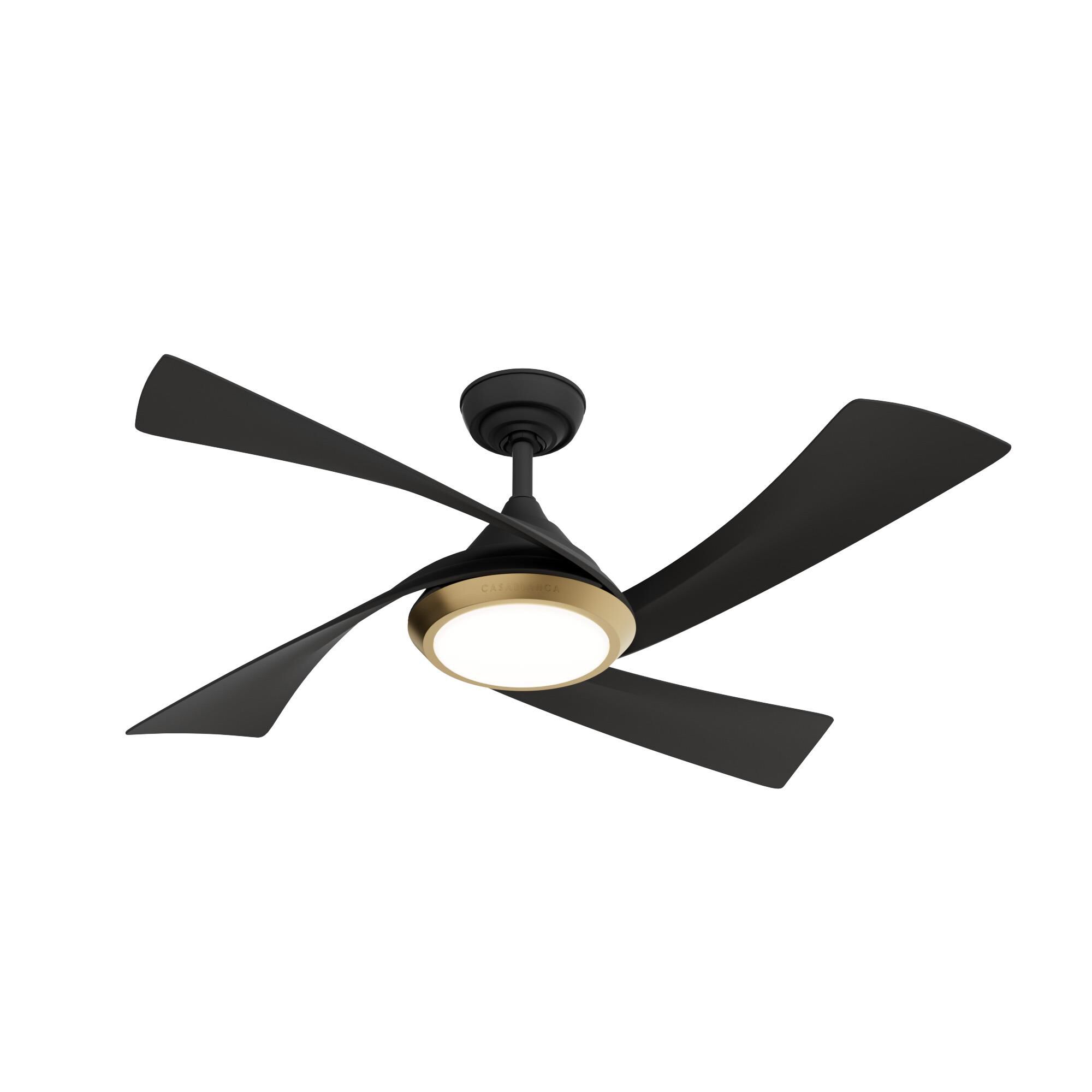 Casablanca Fan Company Vespucci Ceiling Fan