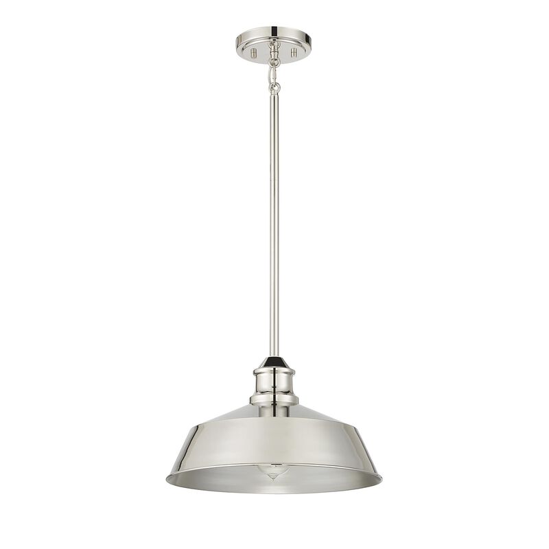 Meridian Lighting 14 Inch LED Large Pendant