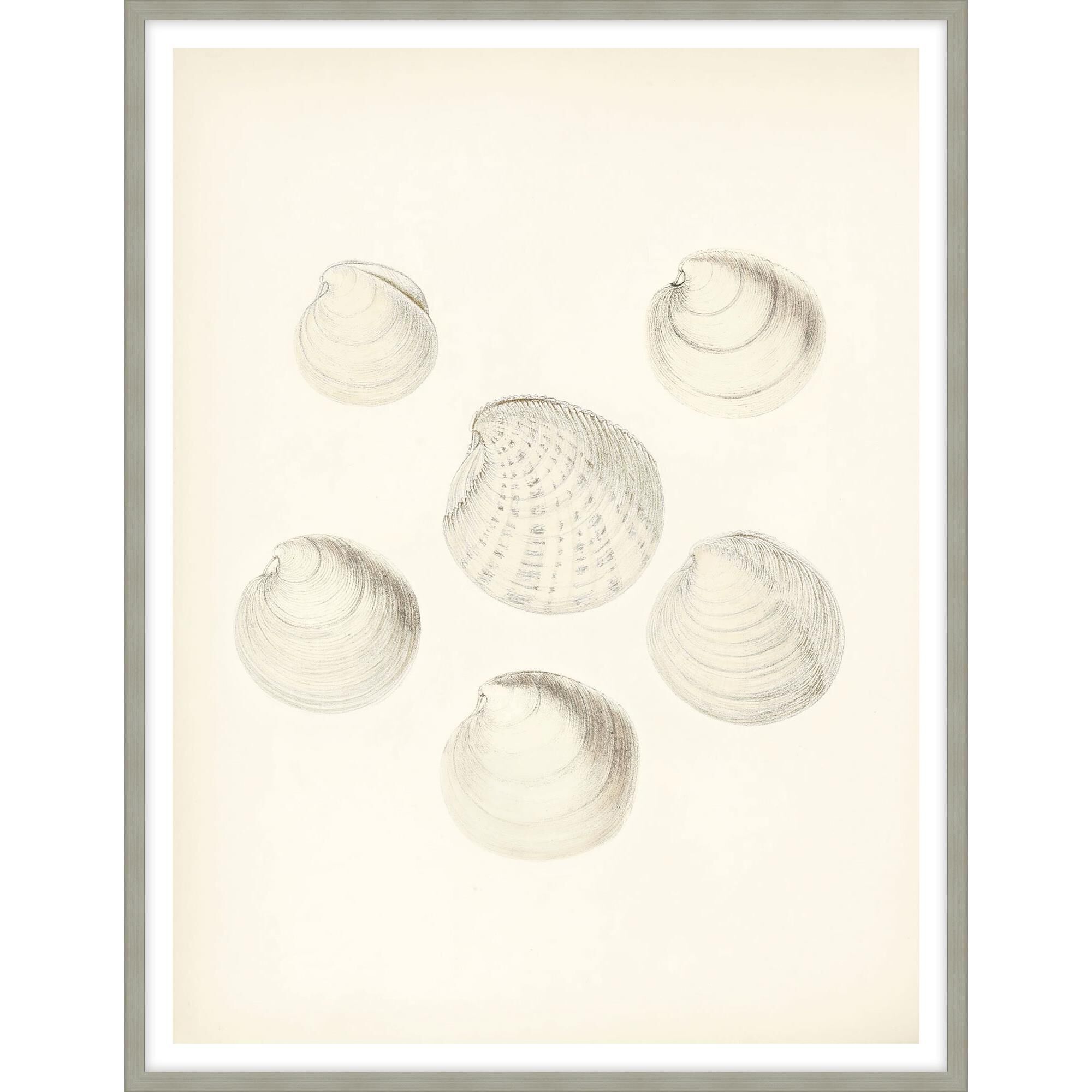 Studio L57 Nouvelle Shore's Treasure Print by LEVEL57