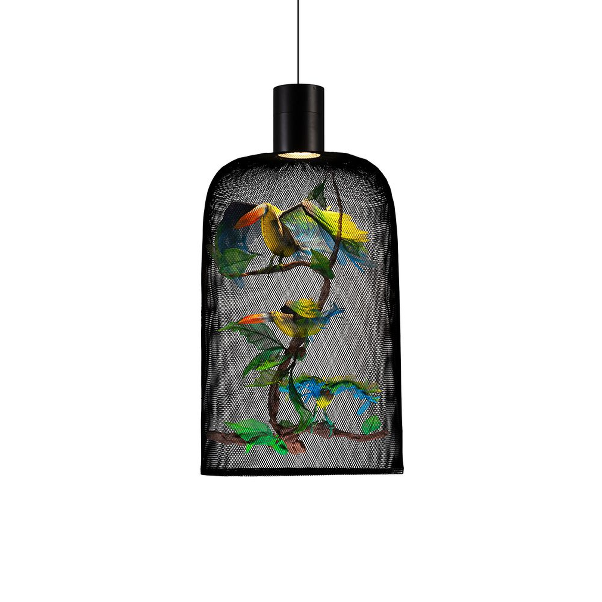Curio 48 Inch Pendant Light,