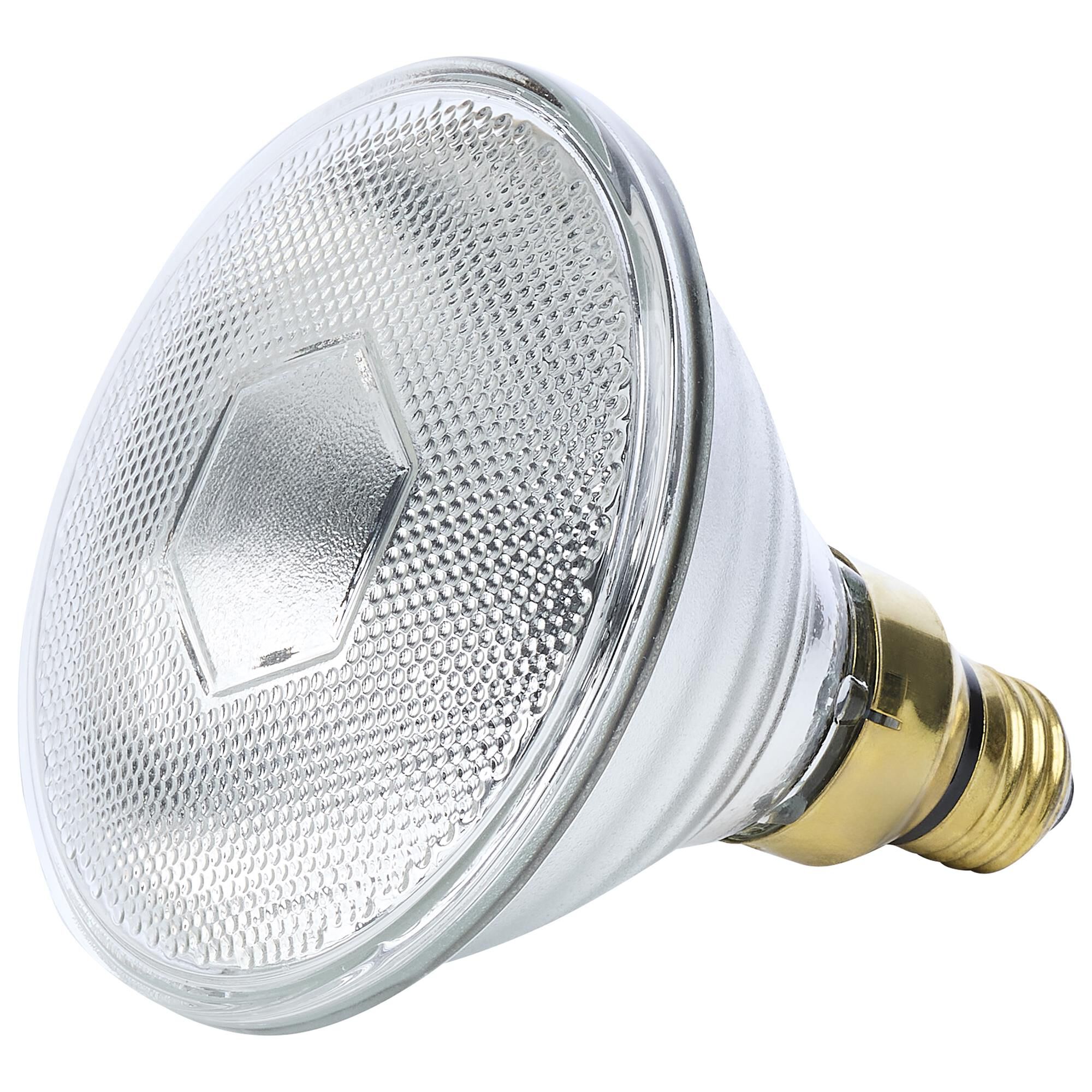Dimmable 125 Watt 2700K PAR38 Incandescent Light Bulb by Satco