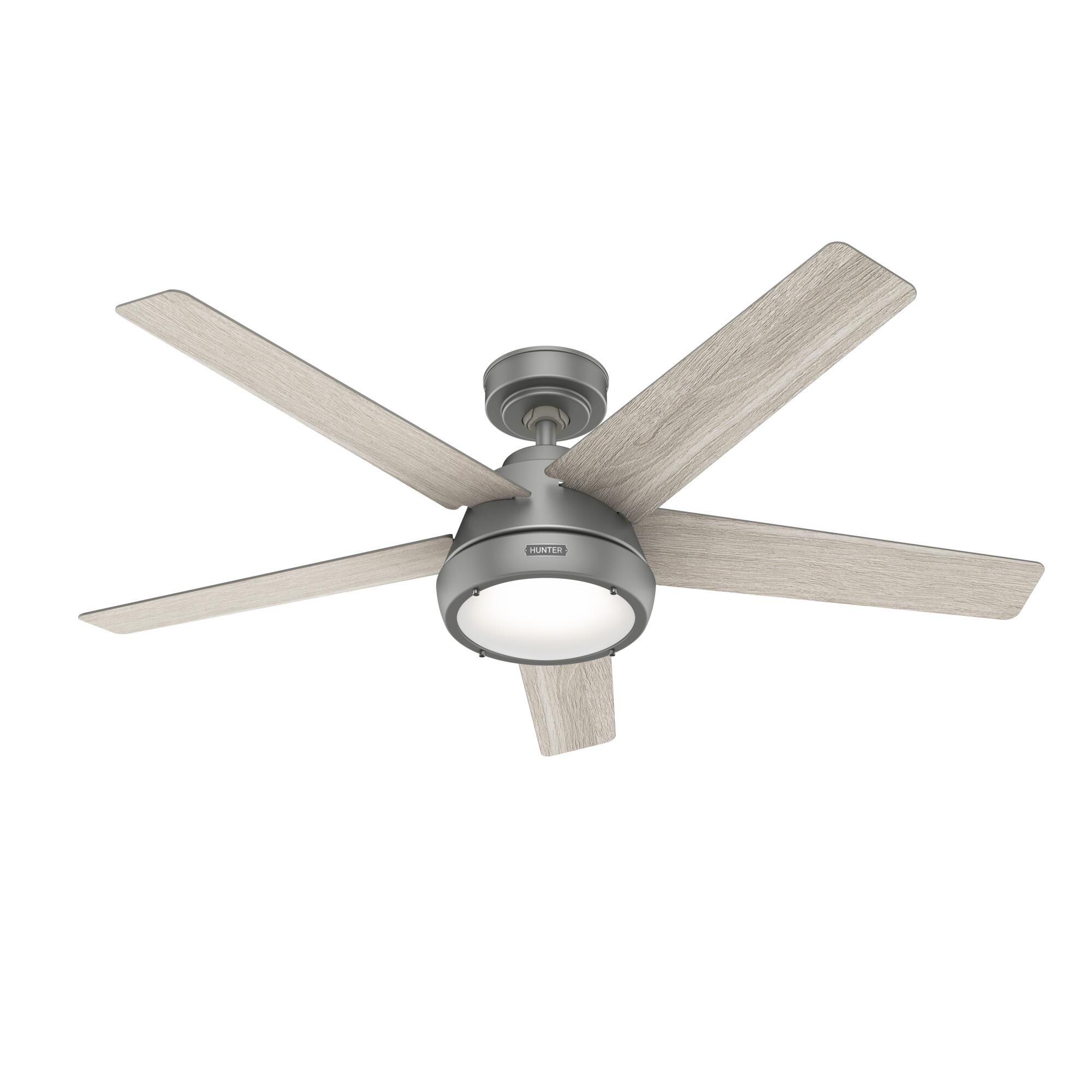 Burroughs Ceiling Fan by Hunter Fan
