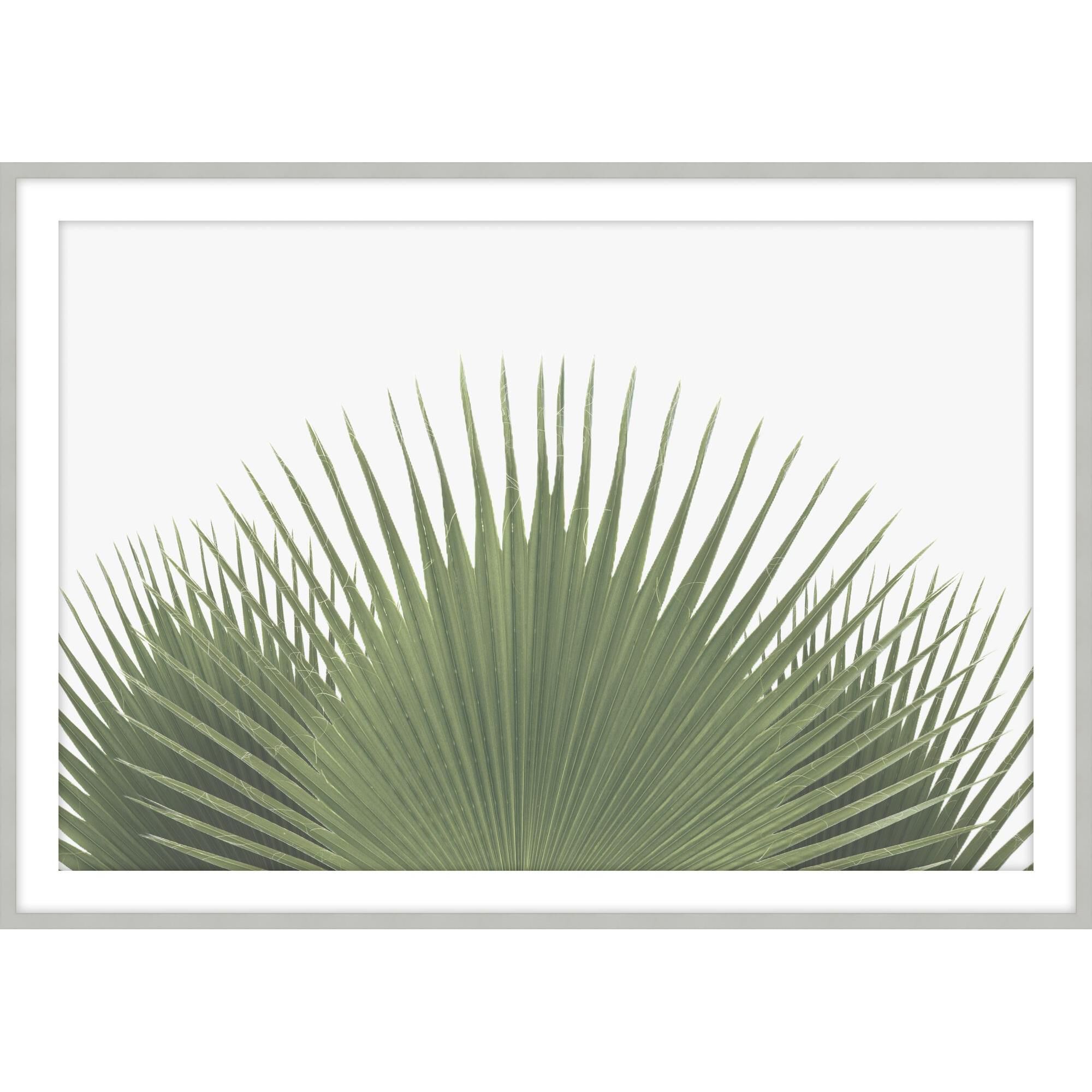 Studio L57 Narrative Tropical Leaves Print by LEVEL57