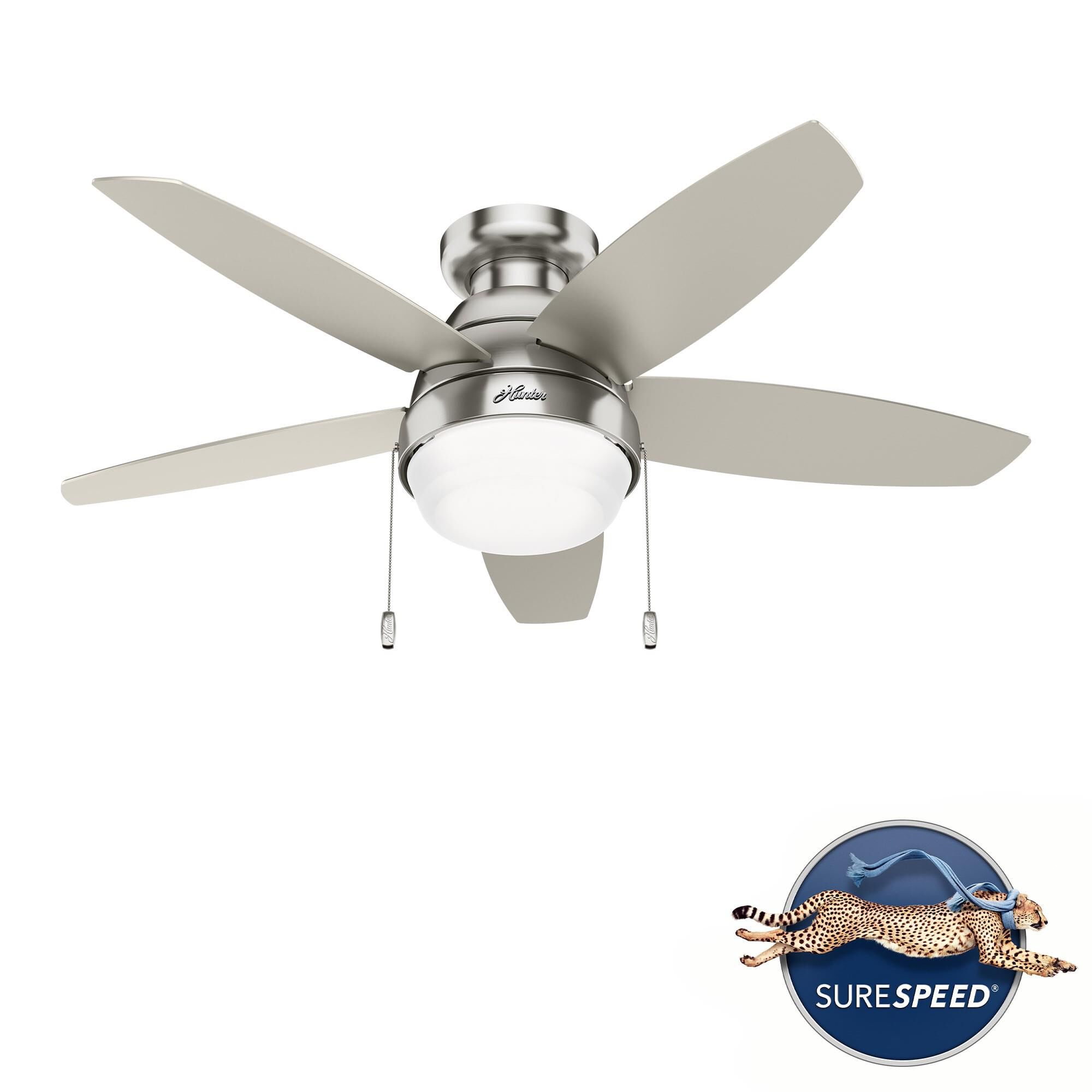 Lilliana 44 Inch Ceiling Fan with Light Kit by Hunter Fan