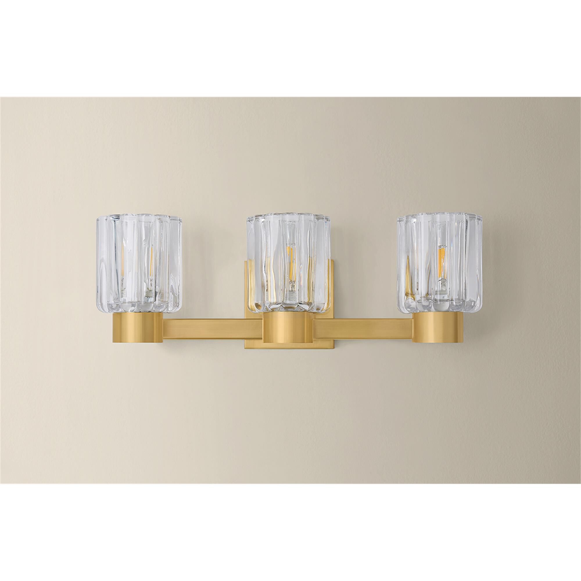 Danae 18 Inch 3 Light Bath Vanity Light,