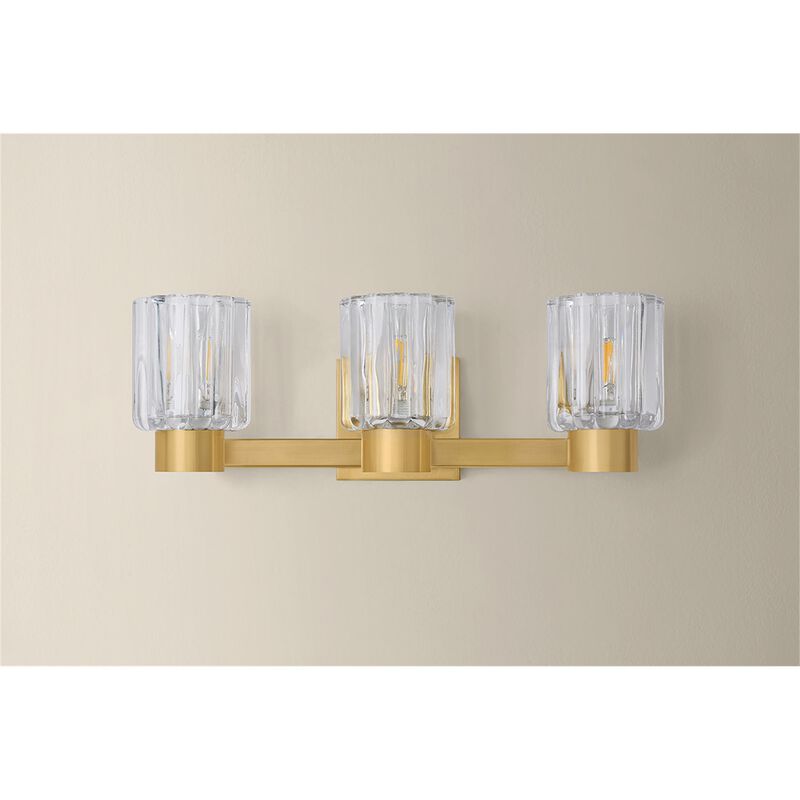 Danae 18 Inch 3 Light Bath Vanity Light by Mitzi