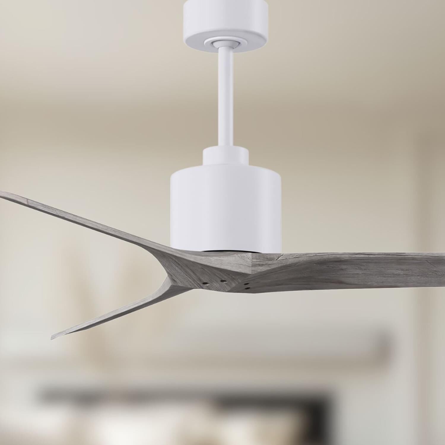 Mollywood 52 Inch Ceiling Fan by Matthews Fan Company