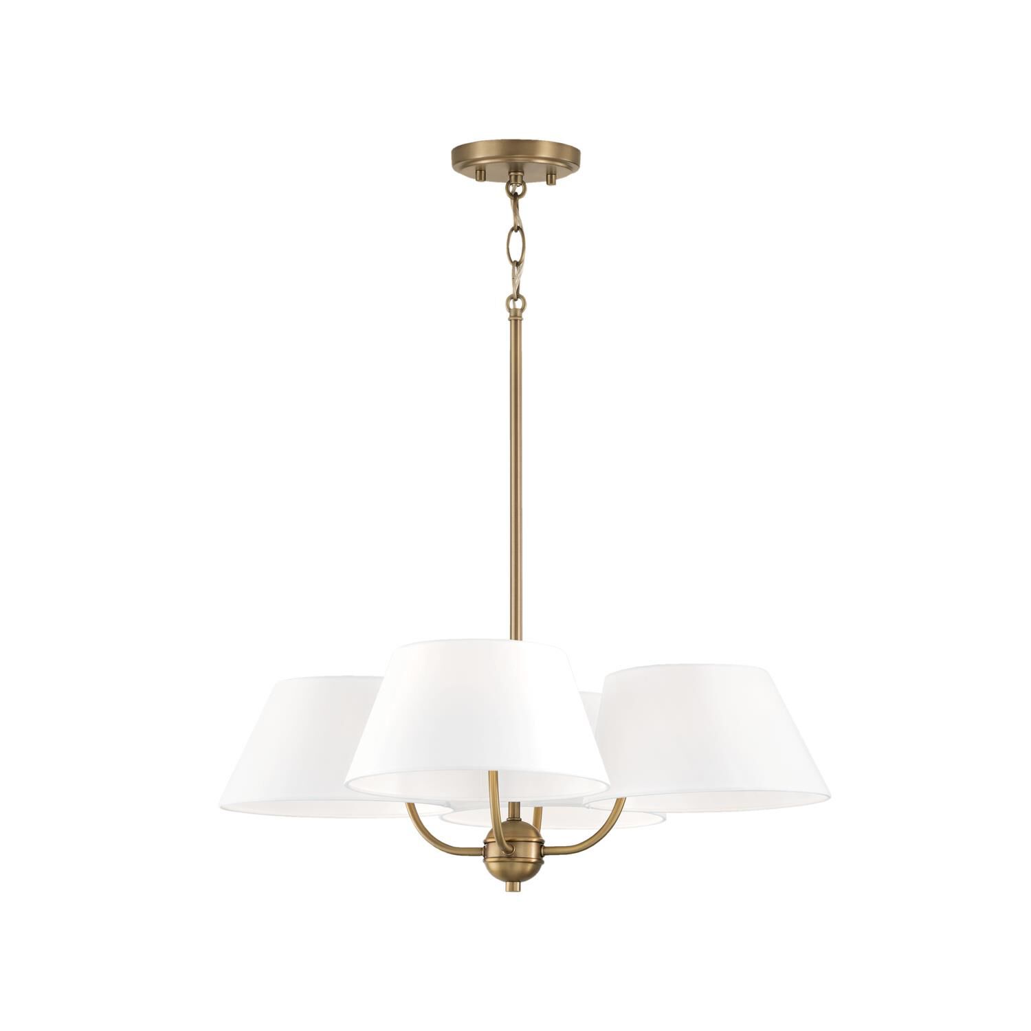 Welsley 25 Inch 4 Light Chandelier by Capital Lighting Fixture Company