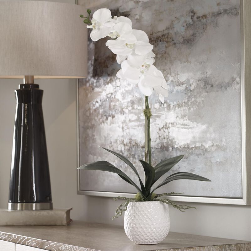 Uttermost Cami White Orchid Botanical by Uttermost
