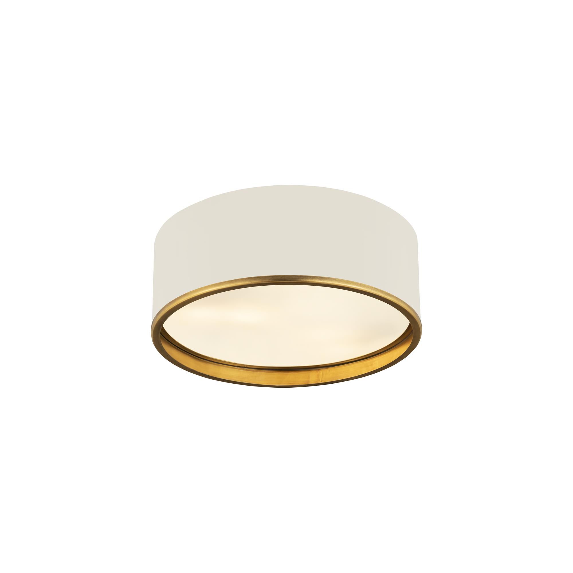 Shown in Matte White And Rubbed Brass finish and Steel glass and Steel shade