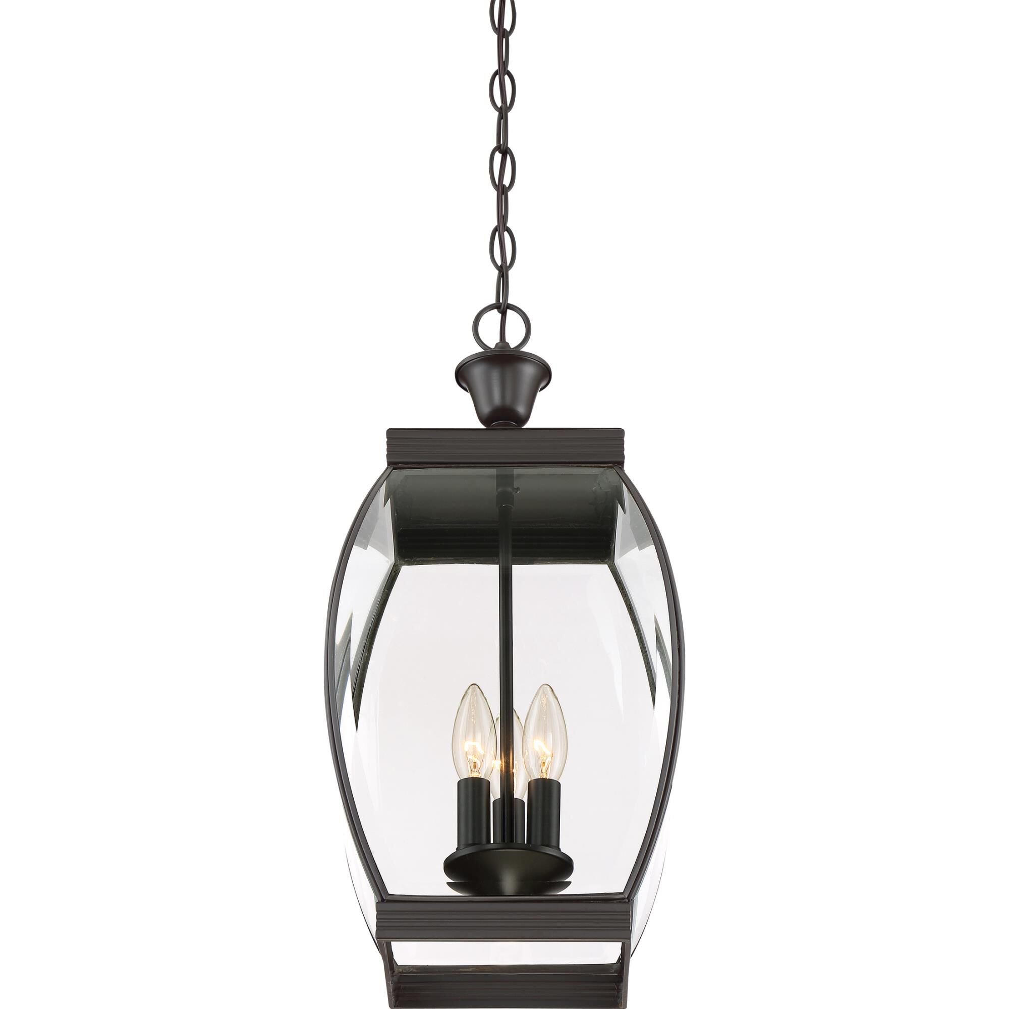 Oasis 9 Inch Cage Pendant by Quoizel