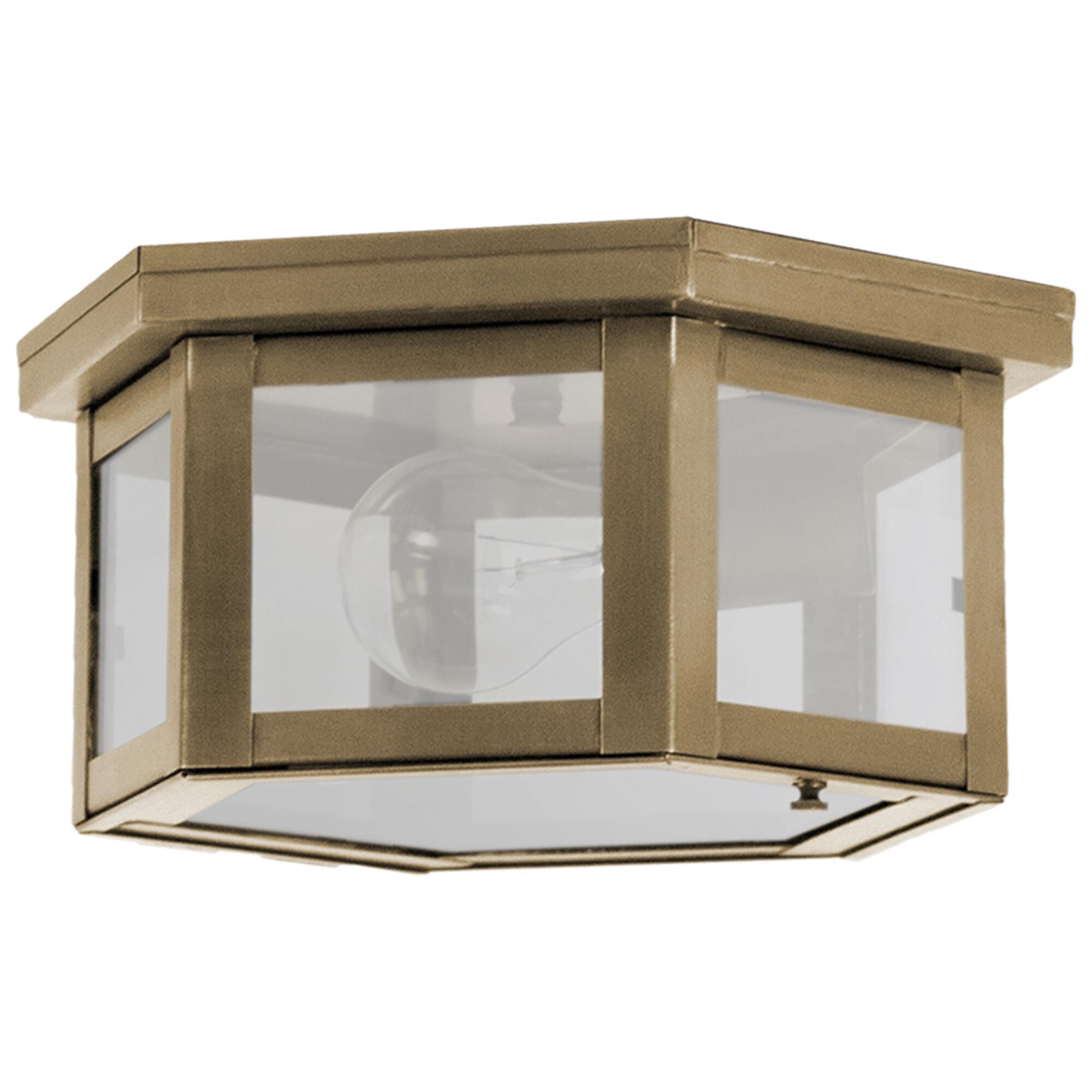 Williams 10 Inch Outdoor Flush Mount,