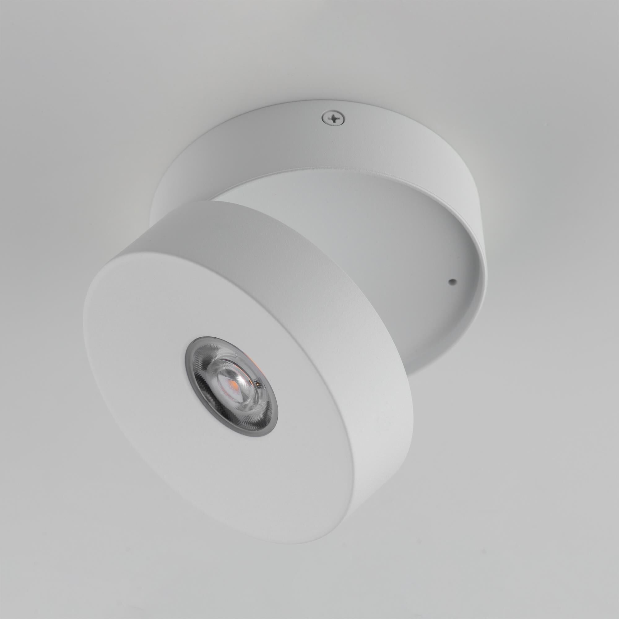 Swinger 5 Inch Flush Mount by Maxim Lighting
