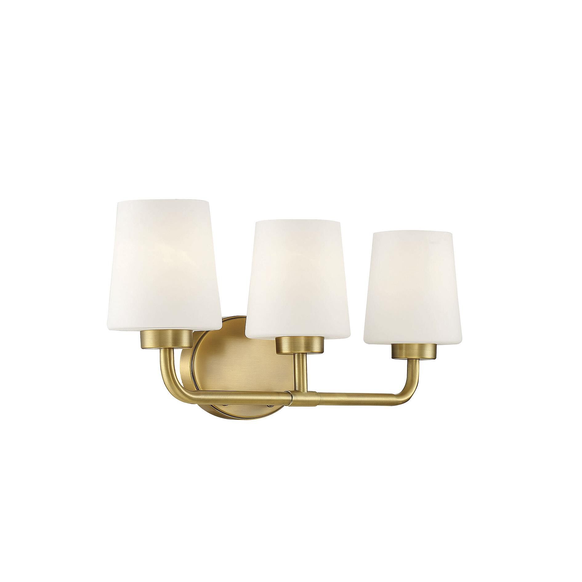 Capra 22 Inch 3 Light Bath Vanity Light by Savoy House