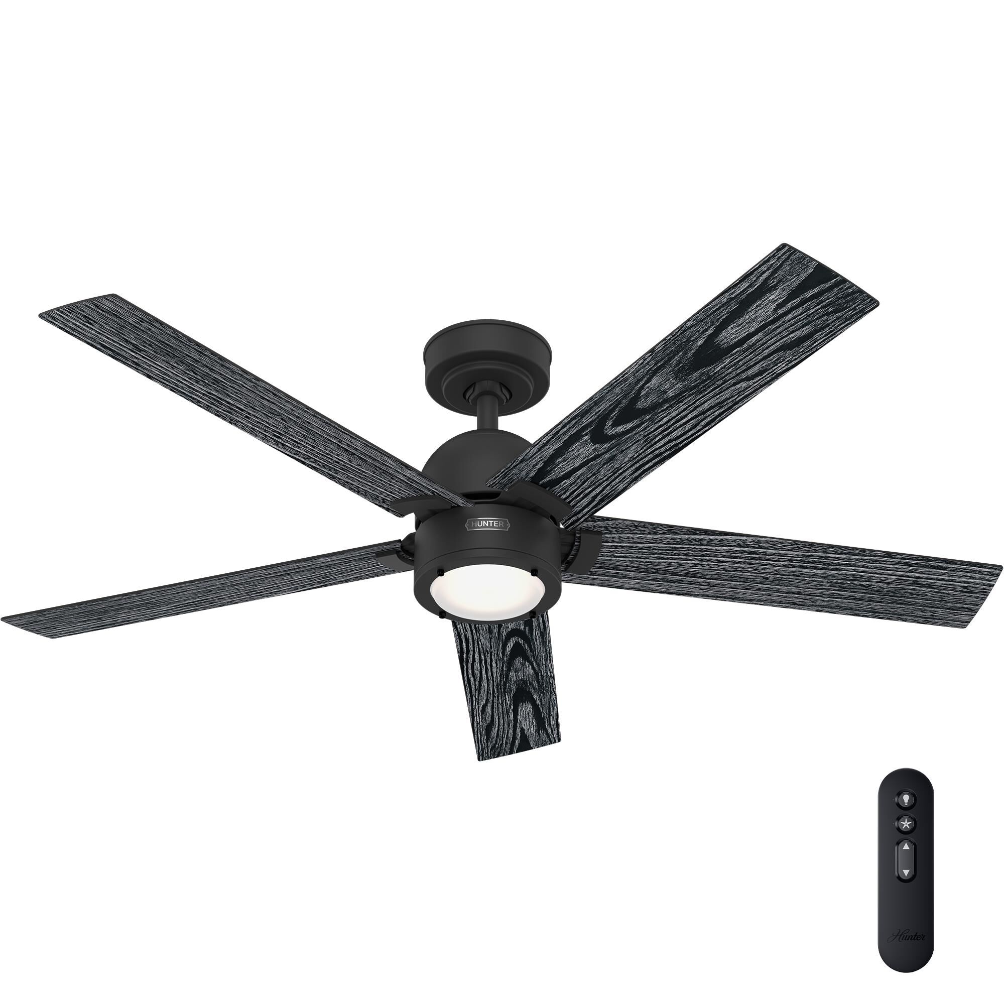 Erling 52 Inch Ceiling Fan by Hunter Fan