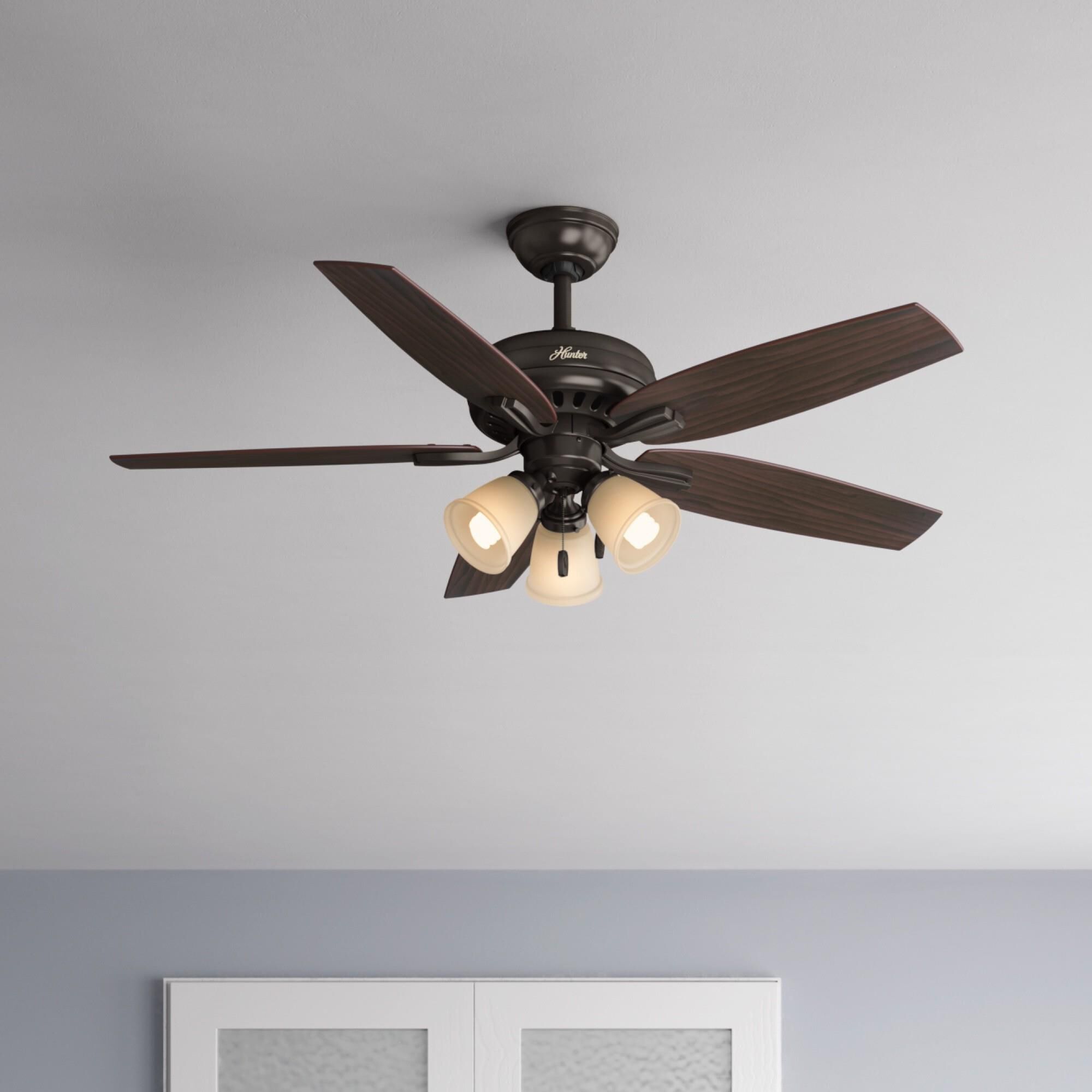 Newsome Ceiling Fan by Hunter Fan