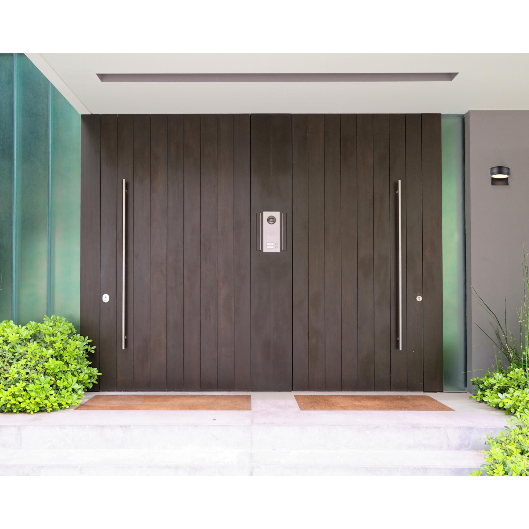 Raine Outdoor Wall Light by Elegant Lighting