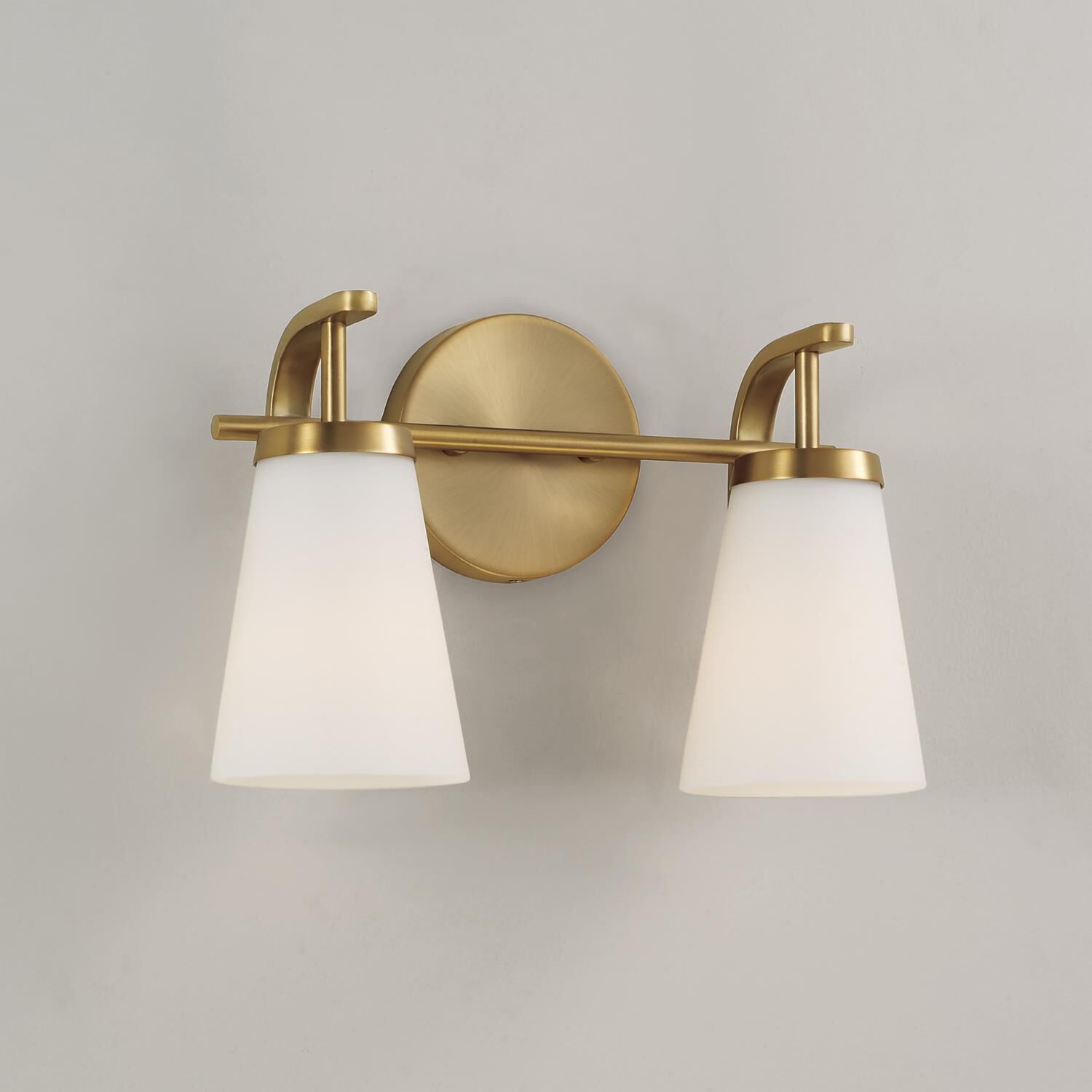 Drake 14 Inch Bath Vanity Light by Homeplace by Capital Lighting Fixture Company