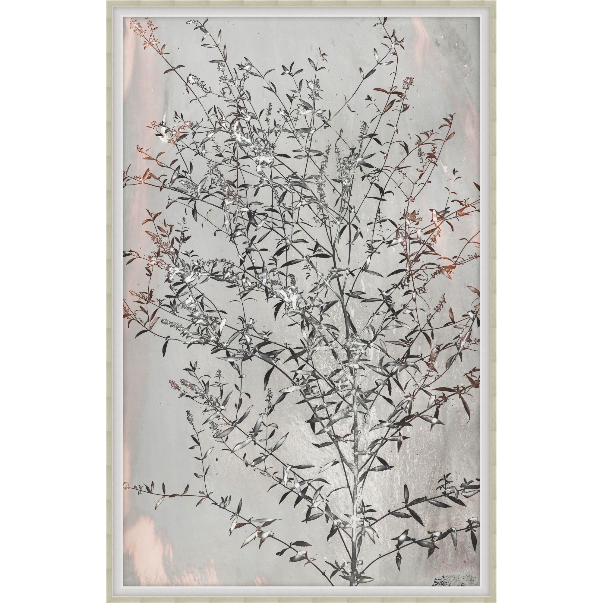 Darrell Kincer Fluttering Home Print by LEVEL57