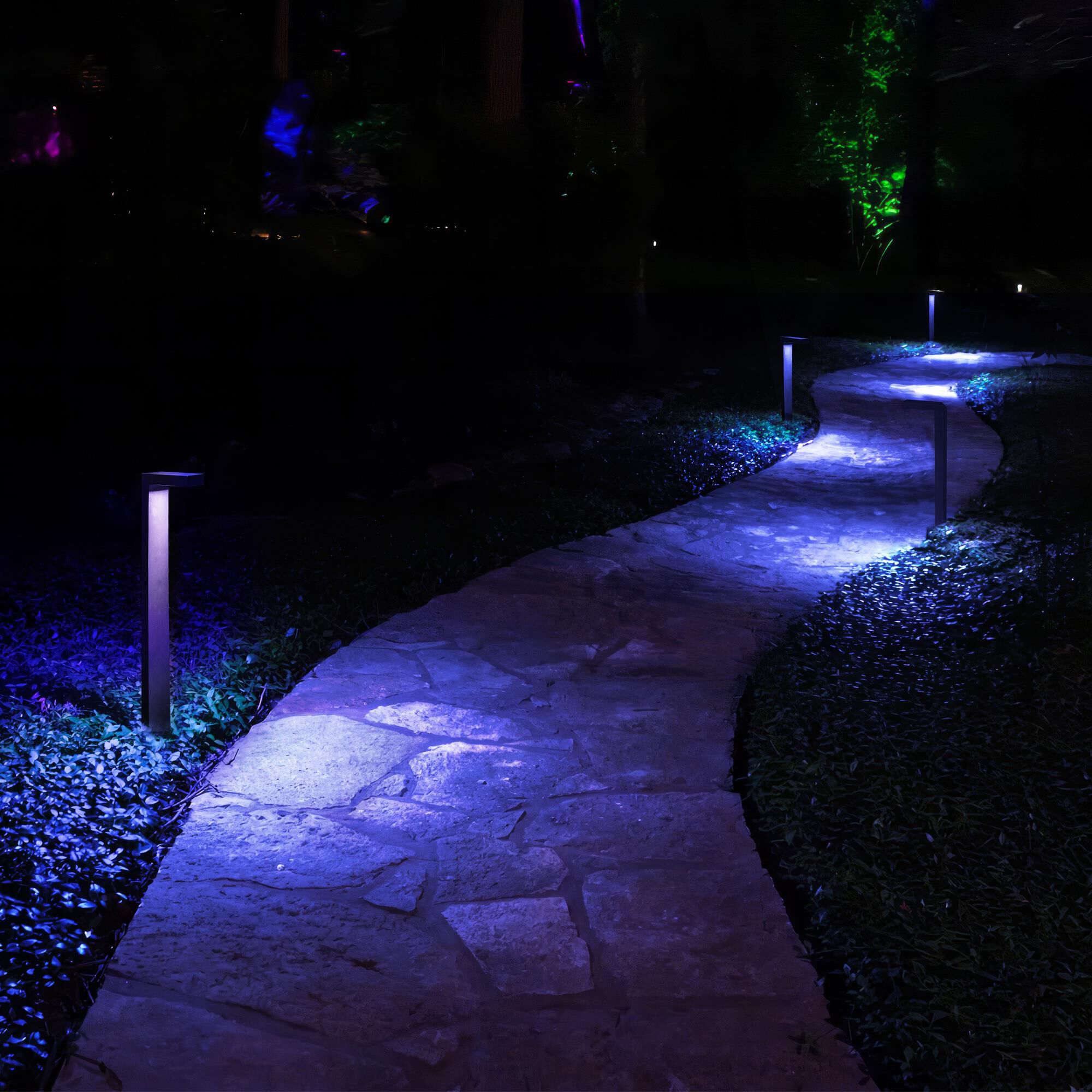 Colorscaping 24 Inch Outdoor Spot Light by WAC Lighting