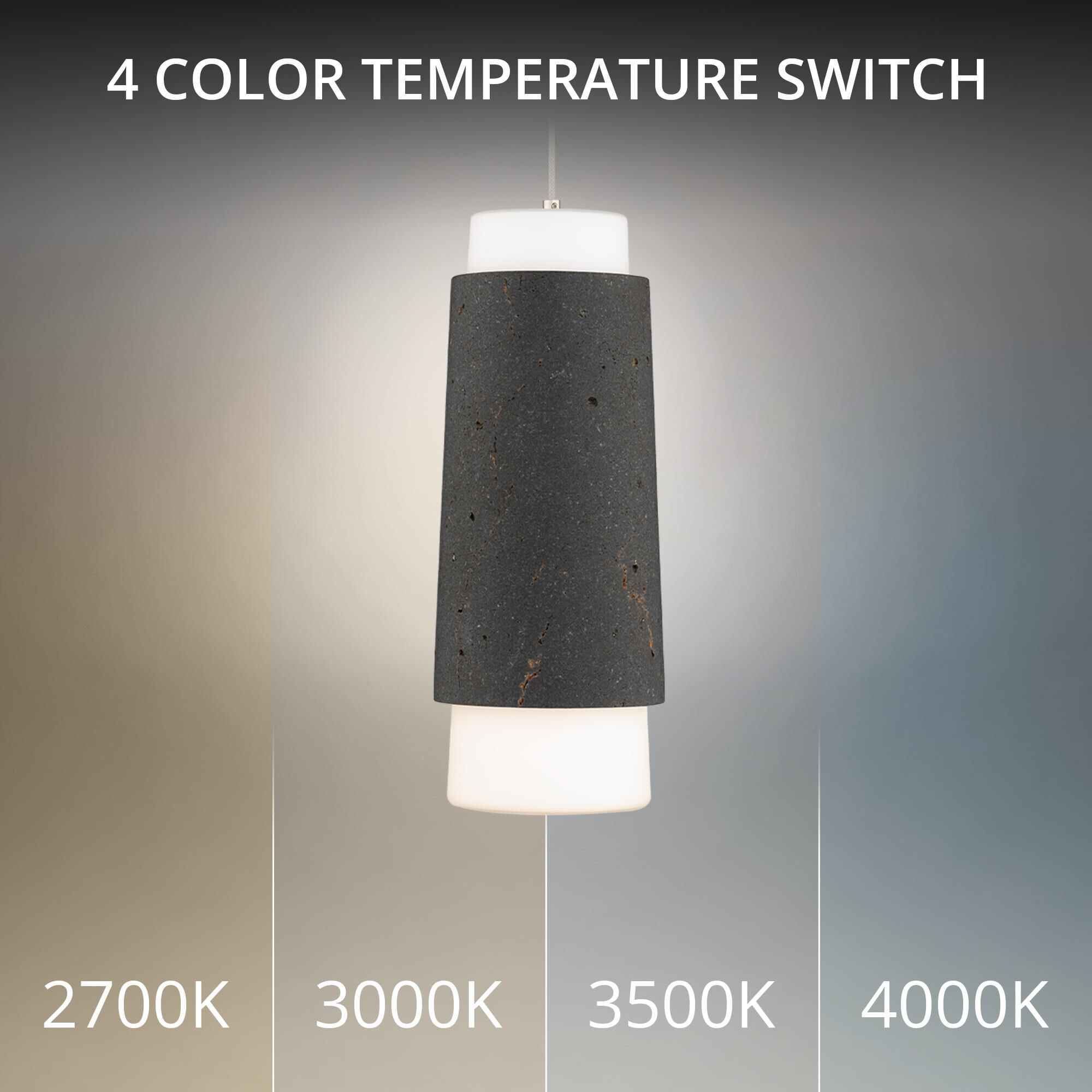 Chauncey 5 Inch Mini Pendant by Modern Forms