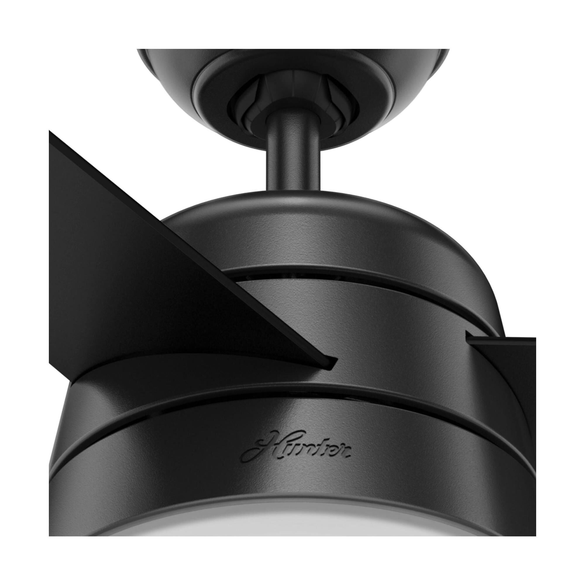 Aker 36 Inch Ceiling Fan with Light Kit by Hunter Fan