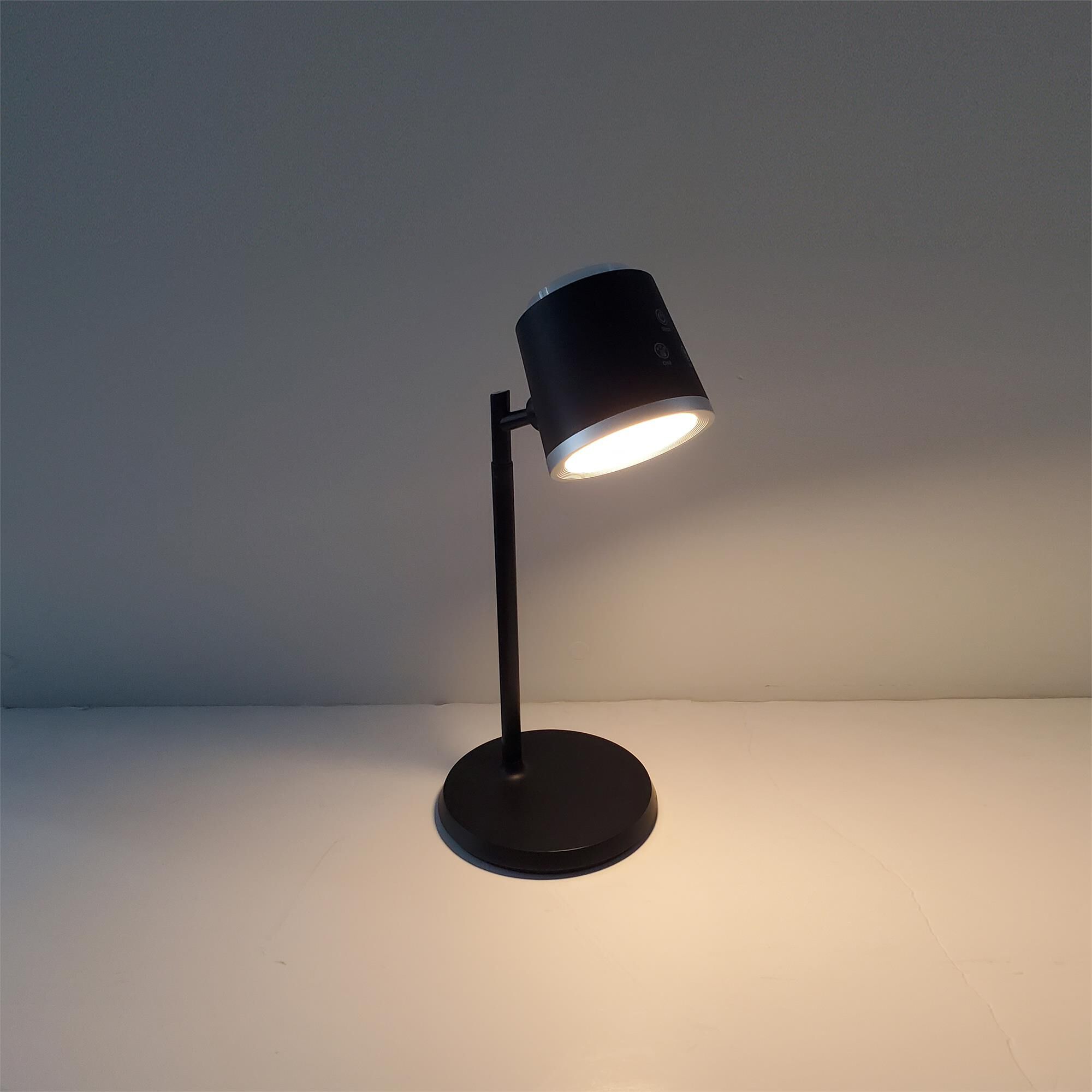 Tram 14 Inch Desk Lamp by Dainolite