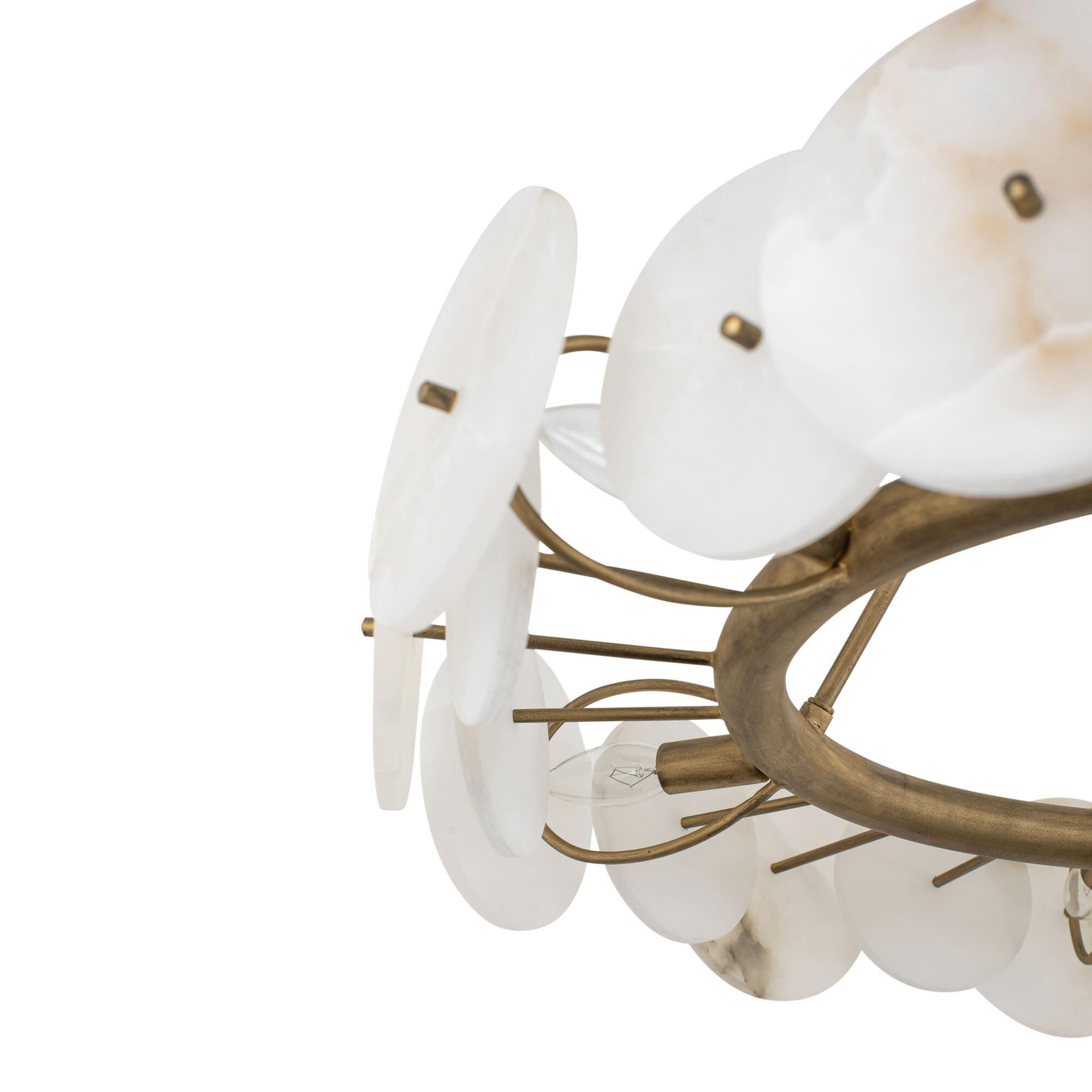 Cosmos 30 Inch 6 Light Chandelier by Varaluz