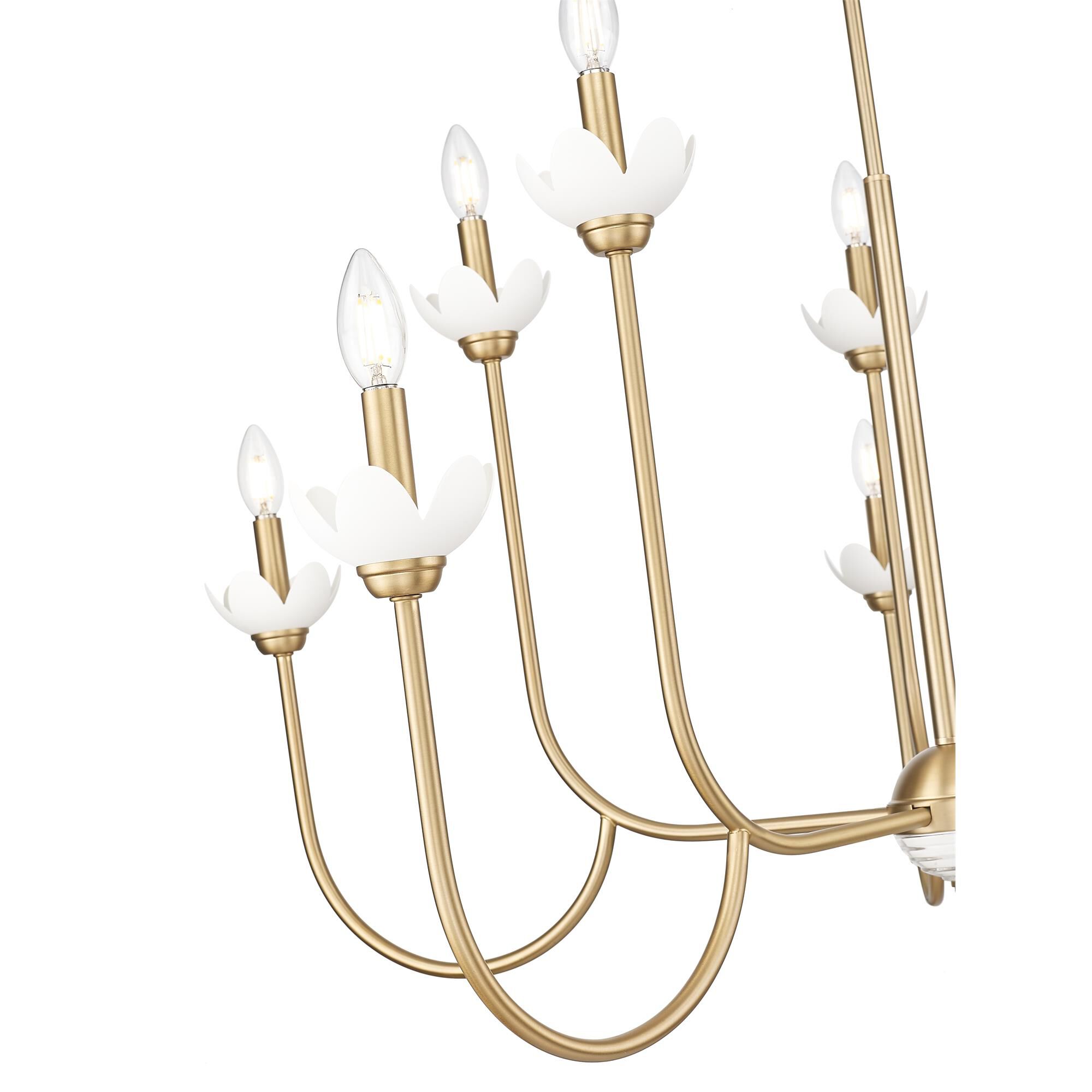 Allistair 42 Inch Chandelier by Z Lite