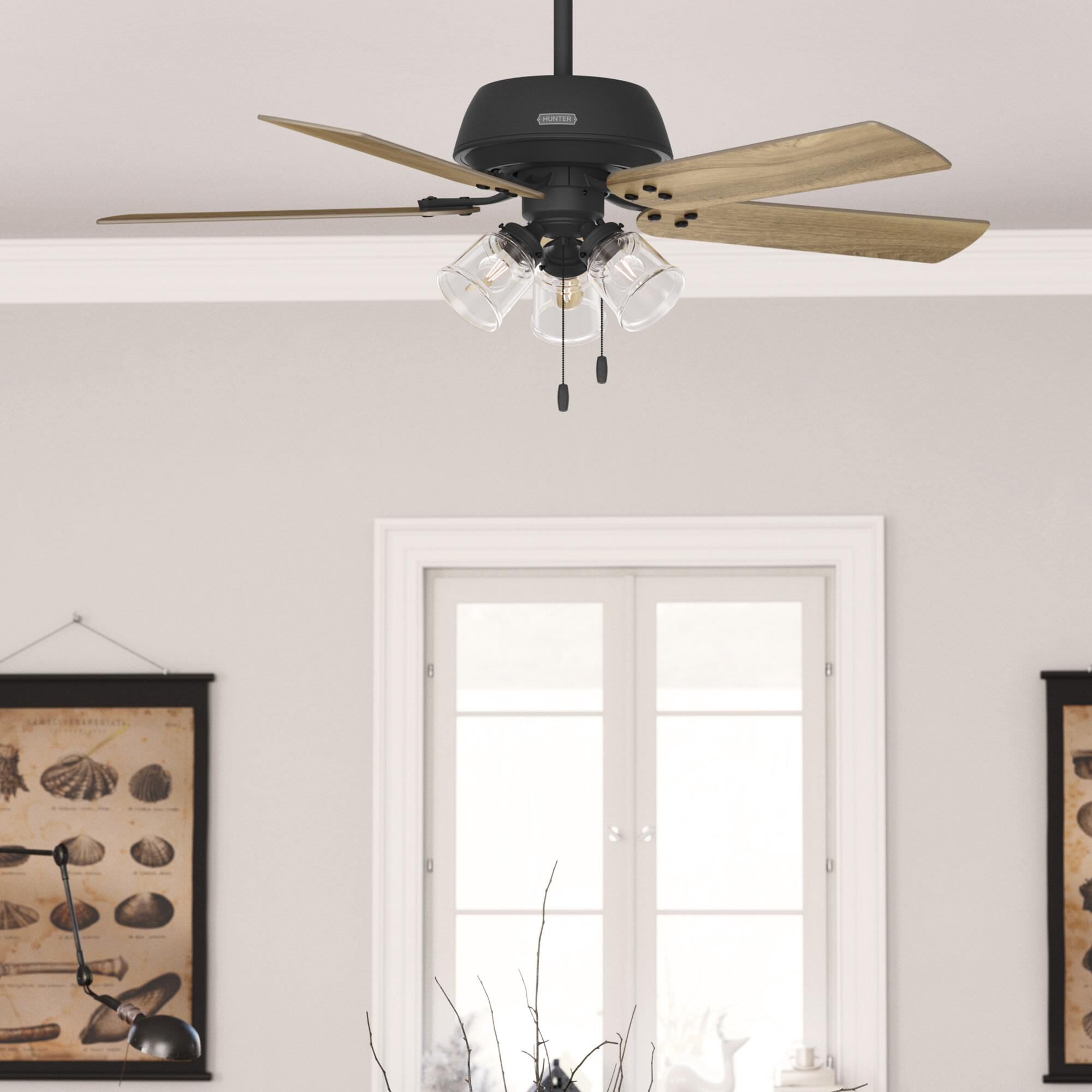 Shady Grove Ceiling Fan by Hunter Fan