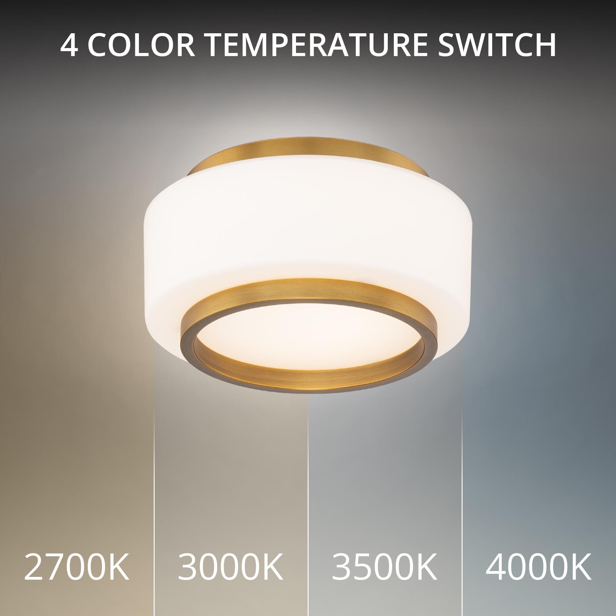 Preston 8 Inch Flush Mount by Modern Forms