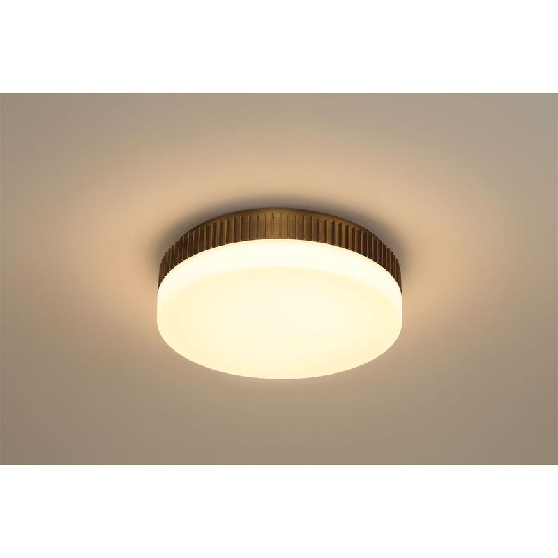 Purgos 18 Inch Flush Mount by Eurofase Lighting