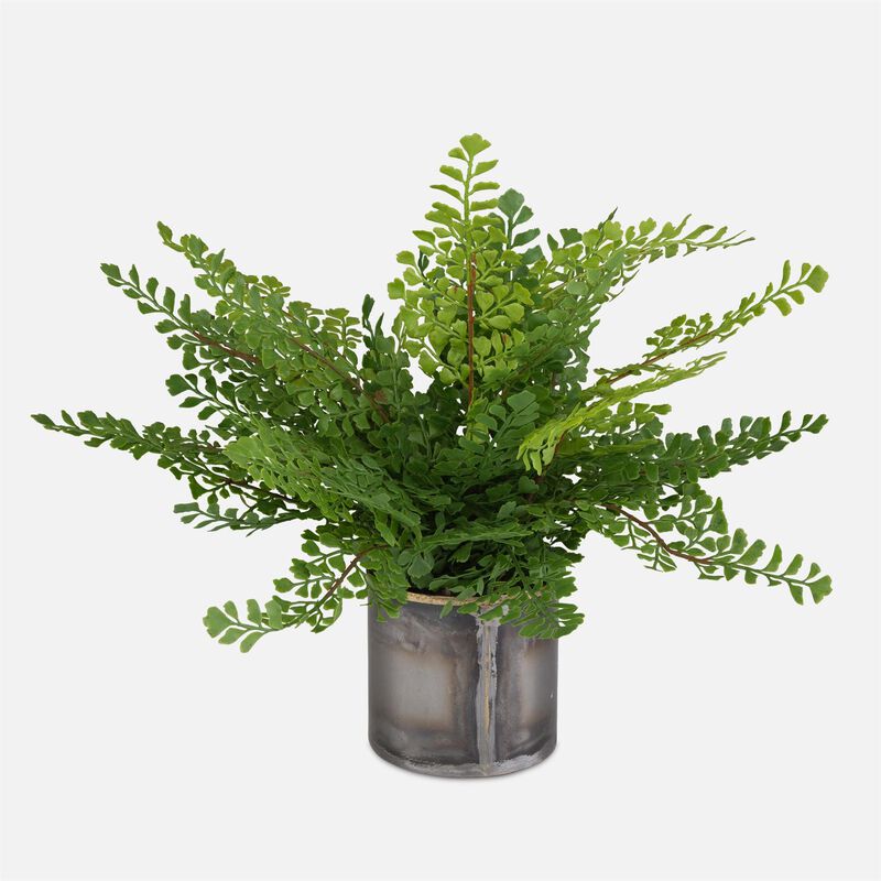 Maidenhair Fern Botanical by Uttermost