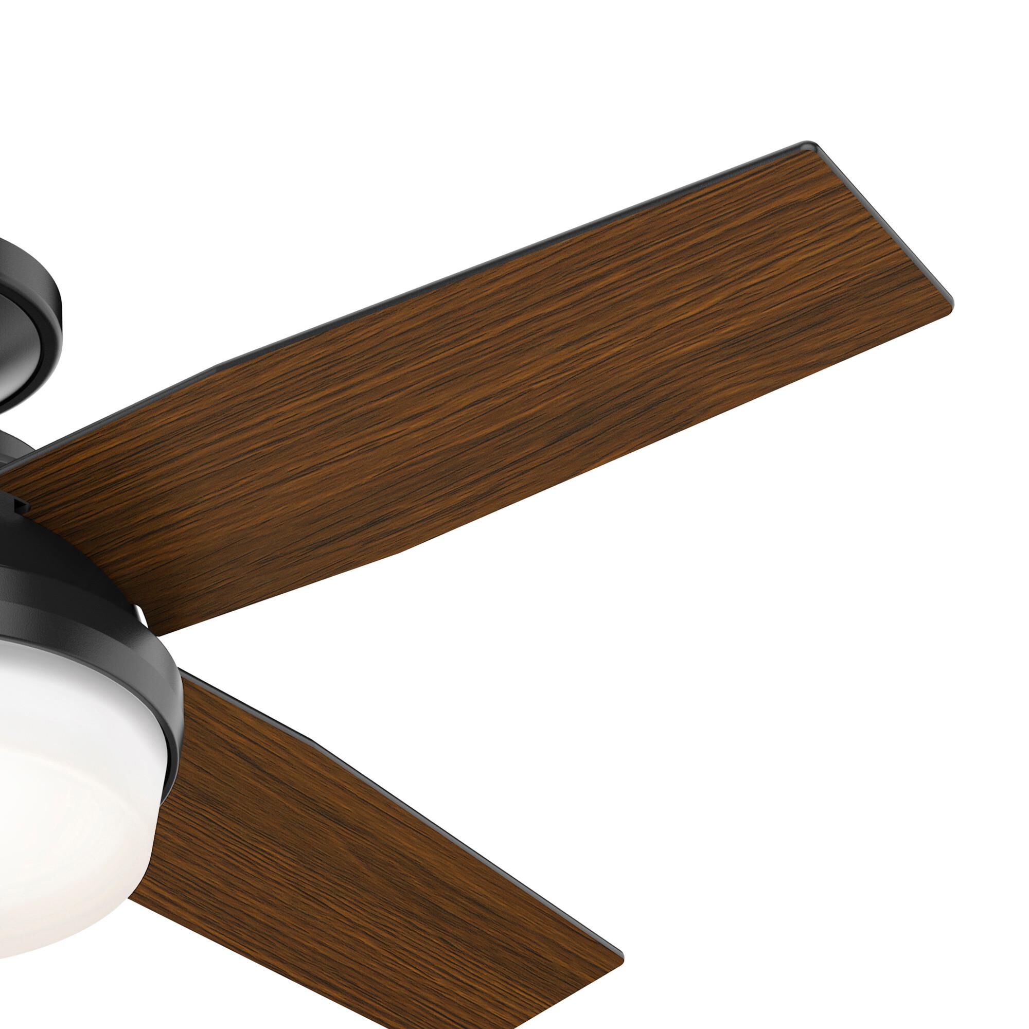 Dempsey Flush Mount Fan by Hunter Fan