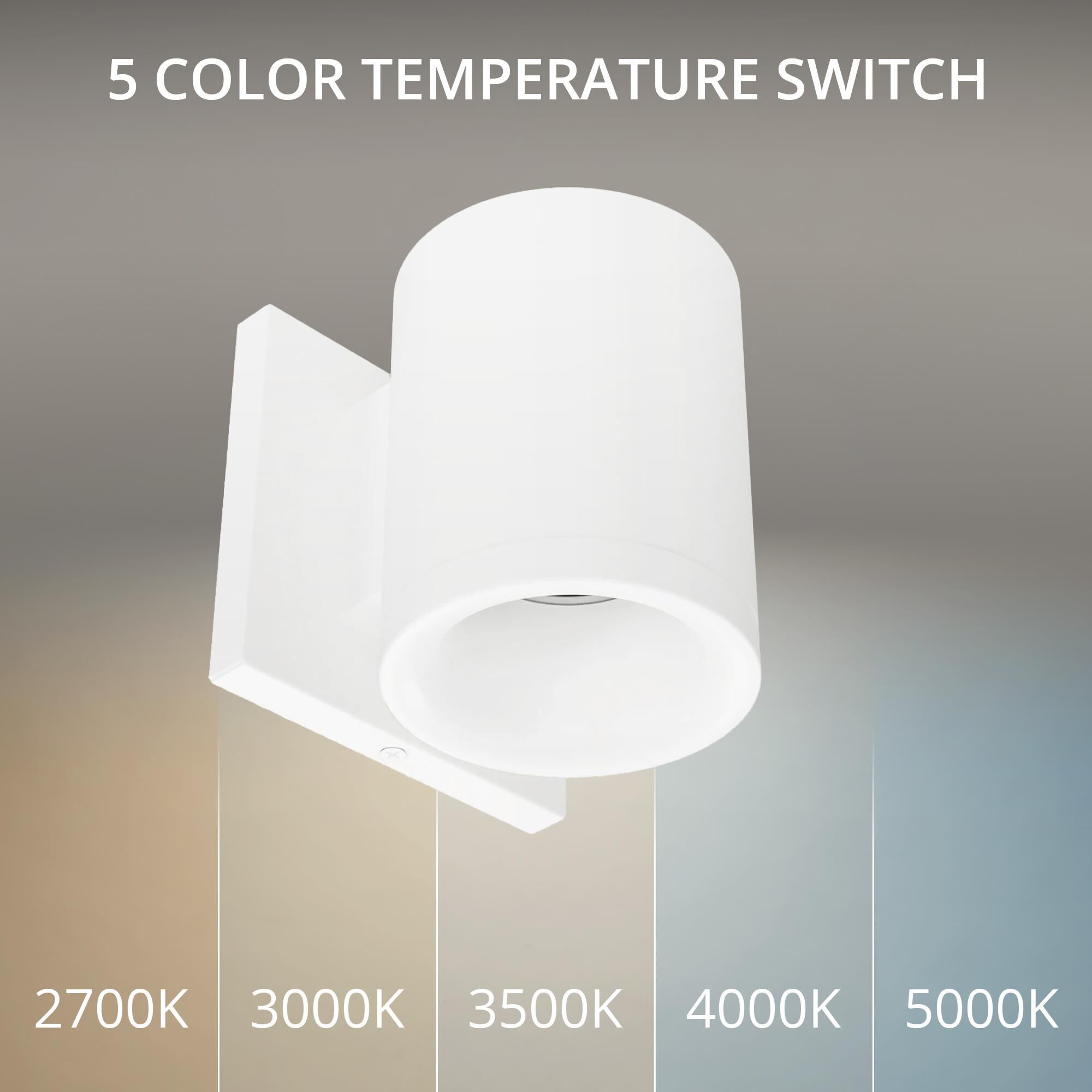 Zoron 4 Inch Outdoor Wall Light by WAC Lighting